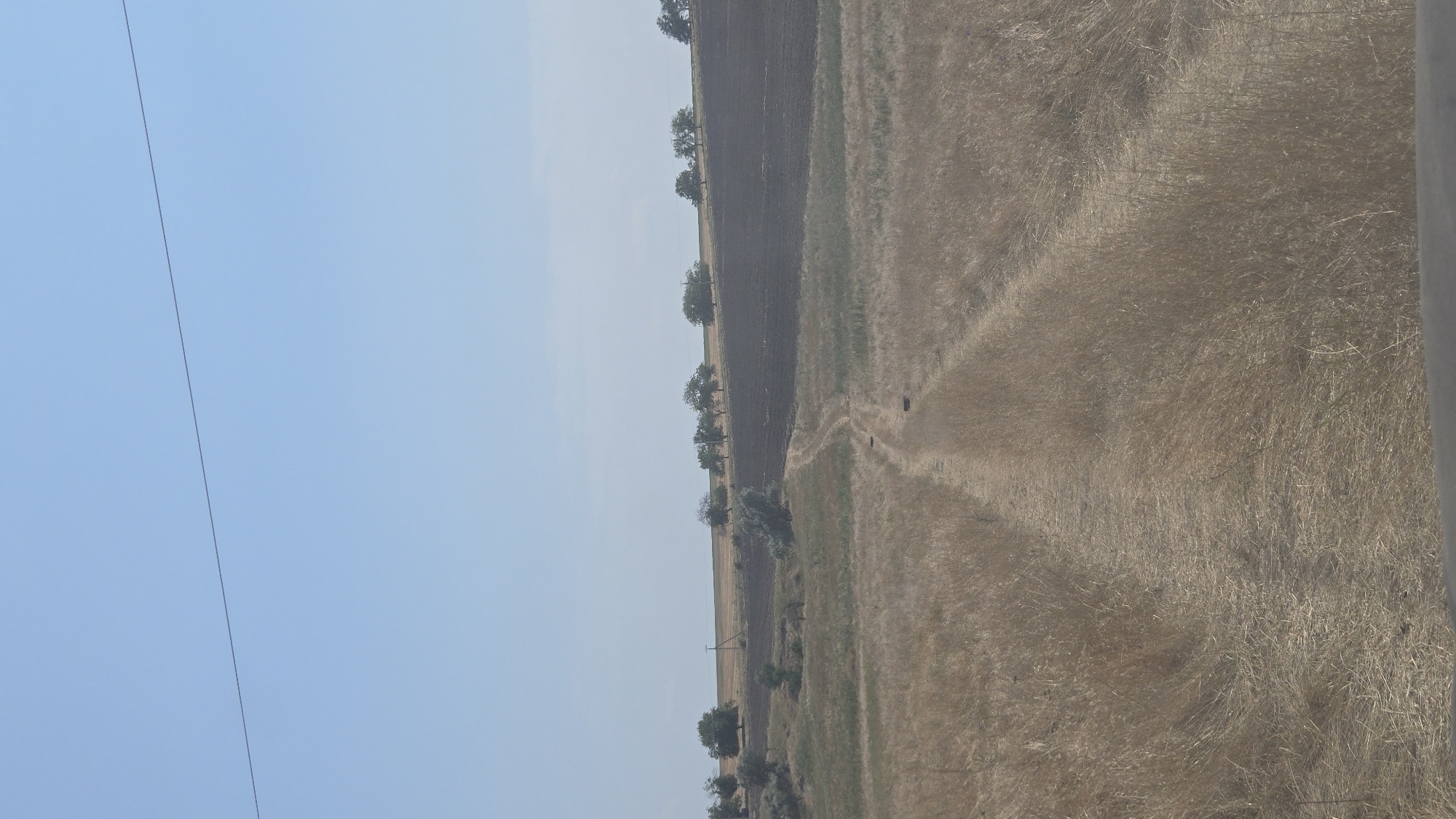 The image shows a rural landscape under a clear blue sky. A dirt road winds through dry, golden-brown grass in the foreground. In the middle ground, there is a dark, tilled field, possibly fallow land, bordered by a line of trees on a gentle slope. The horizon is marked by a faint line of trees and vegetation. The scene appears to be located in the vicinity of Novovladimirovca, Moldova, suggesting a dry, possibly summer, agricultural environment. There are no people or specific structures visible, apart from what appears to be a power line crossing the sky.