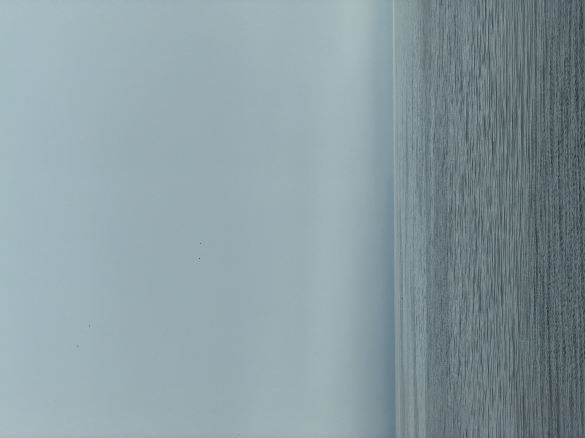 The image displays a minimalist and abstract composition, divided vertically into two distinct areas. The left and larger section of the frame features a smooth, uniform surface rendered in a soft, light blue-grey tone. This area is largely unadorned, save for a few tiny, dark specks scattered across its expanse, possibly dust particles or minor imperfections on the surface.
The right-hand portion, occupying approximately one-third of the frame, presents a stark contrast in texture and detail. This section is characterized by a dense arrangement of fine, vertical lines, suggesting a textured material such as a tightly woven fabric, wood grain, or a wall with a distinct vertical brushstroke finish. The color here is a darker shade of grey with subtle blue undertones, providing a gentle tonal differentiation from the lighter left side. The lines are consistent and run from the top to the bottom of the frame, creating a sense of subtle movement or depth.
There are no people, explicit objects (beyond the abstract surfaces), or discernible activities taking place. The scene is static, focusing on the interplay of color, texture, and compositional division. No text is visible within the image. The lighting appears even and diffused, offering no specific cues regarding the time of day or outdoor weather conditions. The image lacks specific location indicators, portraying an abstract visual rather than a narrative scene.