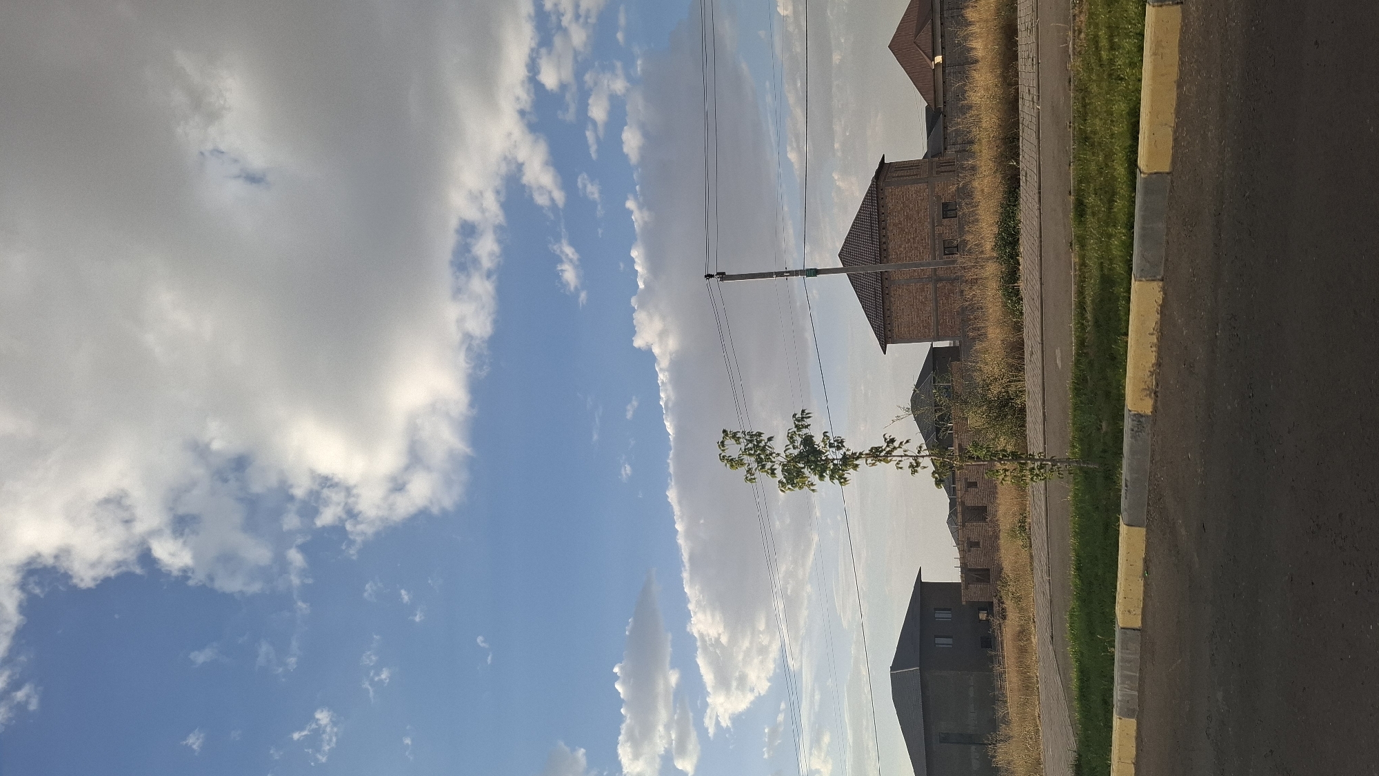 The image depicts a residential area under a blue sky with scattered white clouds. In the foreground, a paved road with a yellow and grey concrete curb is visible. Beyond the curb, a strip of green grass is followed by a dirt road or pathway. In the midground, several houses are under construction or recently built, characterized by their brick and dark-colored exteriors. A single, slender tree with green foliage stands prominently in the middle ground. Utility poles and power lines crisscross the scene. The background consists of dry, yellowed grass and vegetation, suggesting a semi-arid environment. The overall scene appears to be a developing neighborhood, possibly in a suburban or semi-rural setting within the city of Shymkent, Kazakhstan, given the architectural styles and landscaping. There are no people or animals visible in the image.