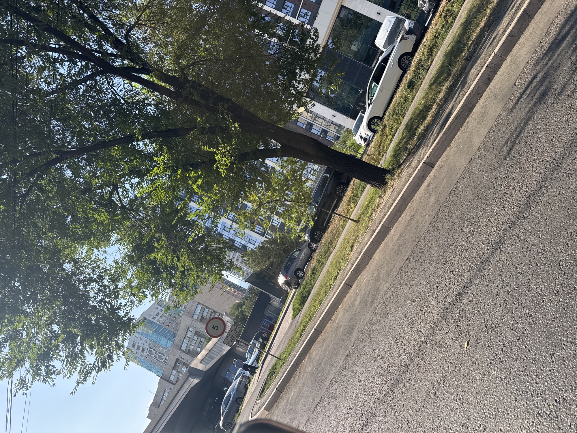 The image captures a sunlit street scene in Almaty, Kazakhstan, with a focus on the urban environment. A large tree with lush green foliage dominates the right side of the frame, casting shadows on the asphalt road and sidewalk. In the background, modern high-rise buildings with glass facades stand tall against a clear blue sky. Several cars are parked along the street, including a white sedan and a dark SUV. A traffic sign with the number "5" inside a red circle is visible, indicating a speed limit, with additional text in a non-English language beneath it. The road surface appears to be asphalt, with a concrete curb separating it from a grassy verge. The overall impression is one of a contemporary urban setting on a bright day.