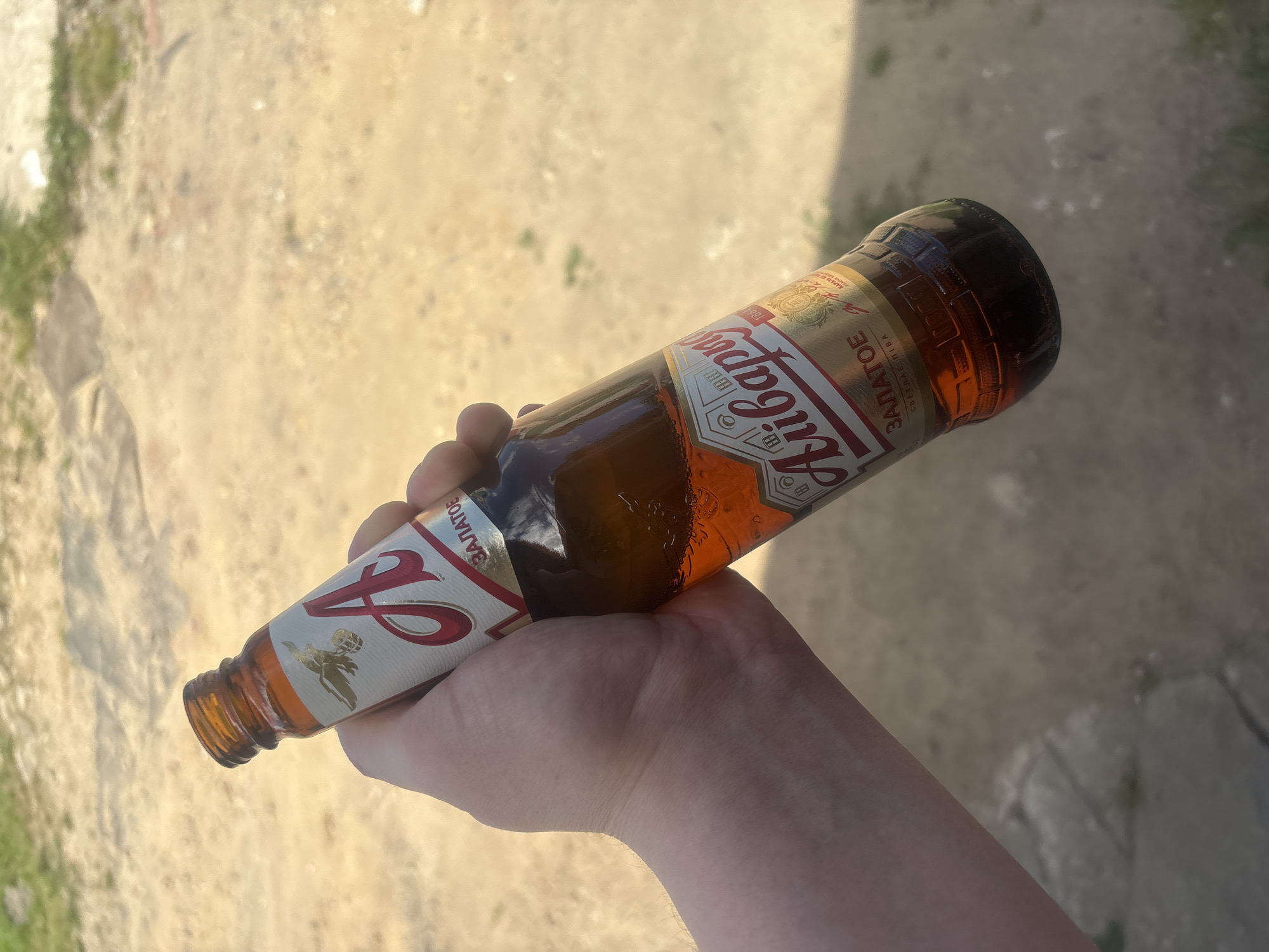 A hand is holding a brown glass bottle of "Aliverya" beer. The bottle has a label with red and gold lettering. The background is a blurred outdoor scene with sandy ground and some patches of green vegetation. The scene appears to be located in Orsha, Belarus.