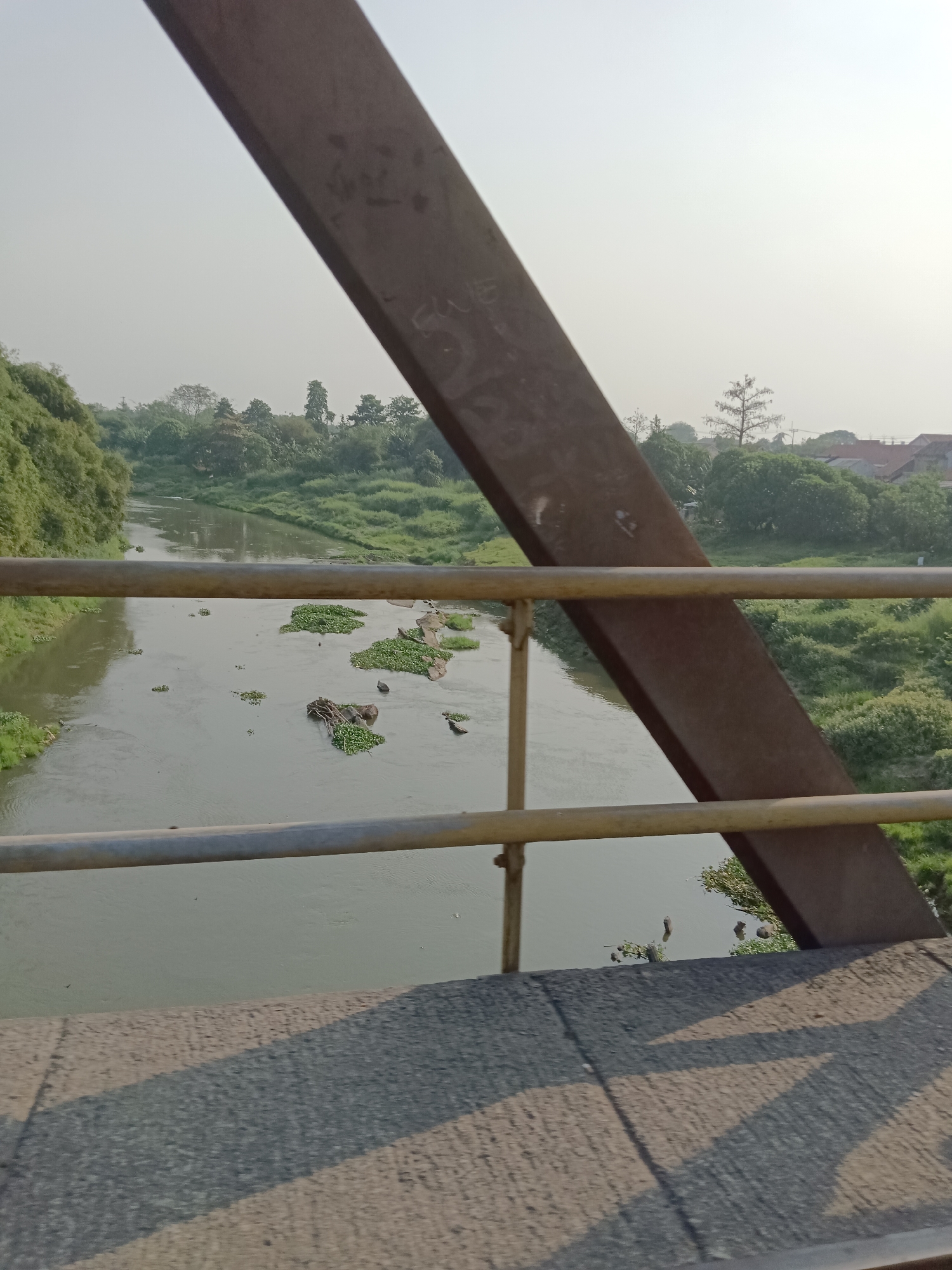 The image shows a view from a bridge in Tanjungmekar, Indonesia, overlooking a river. The river is flanked by lush green vegetation on both sides, with trees and dense foliage. In the water, clusters of aquatic plants and some rocks are visible. The bridge structure, made of metal beams and railings, is in the foreground, casting shadows on the paved surface below. The sky is hazy and light, suggesting it might be early morning or late afternoon. In the distance, buildings and more trees can be seen. There are no people clearly visible in the image.