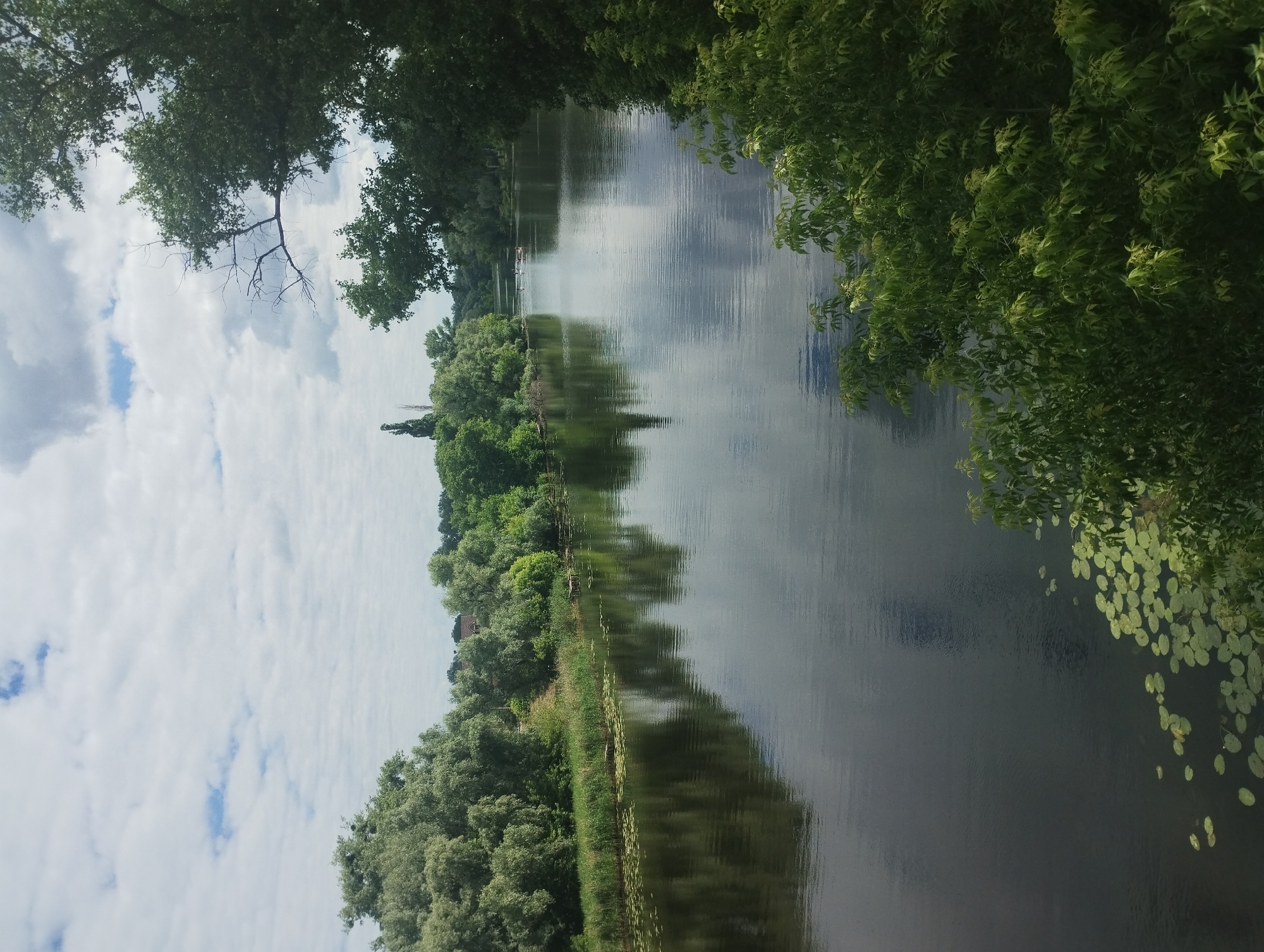 A wide river flows through a landscape of lush green trees and foliage under a partly cloudy sky. The water's surface reflects the sky and the surrounding vegetation, creating a mirror-like effect. Lily pads are visible floating on the water's edge on the left side of the image. In the distance, several small boats are on the river, with a few people visible in them. The overall scene depicts a serene natural environment, likely a park or a rural area near a body of water.