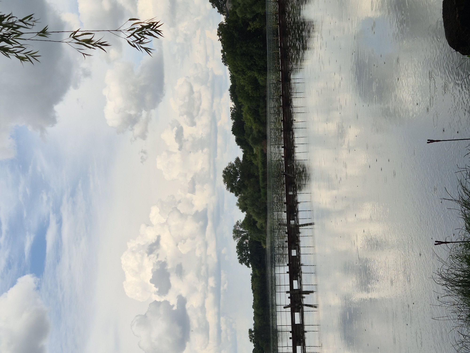 The image depicts a tranquil scene of a body of water, likely a lake or river, under a cloudy sky. In the foreground, tall grass and a dark, irregular object are visible on the right bank. The water's surface is disturbed by raindrops, creating ripples and reflecting the overcast sky and the surrounding environment. A long, low structure, possibly a pier or a walkway, extends across the water from left to right, supported by vertical posts and featuring a railing. Beyond the water, a dense line of lush green trees forms the background, with a hint of buildings visible on the far right, suggesting the edge of a populated area. Overhanging from the top right corner, a branch with long, thin leaves, characteristic of a weeping willow, adds a natural element to the composition. The overall atmosphere is one of a peaceful, slightly melancholic, rainy day in the city of Sozonivka, Ukraine.