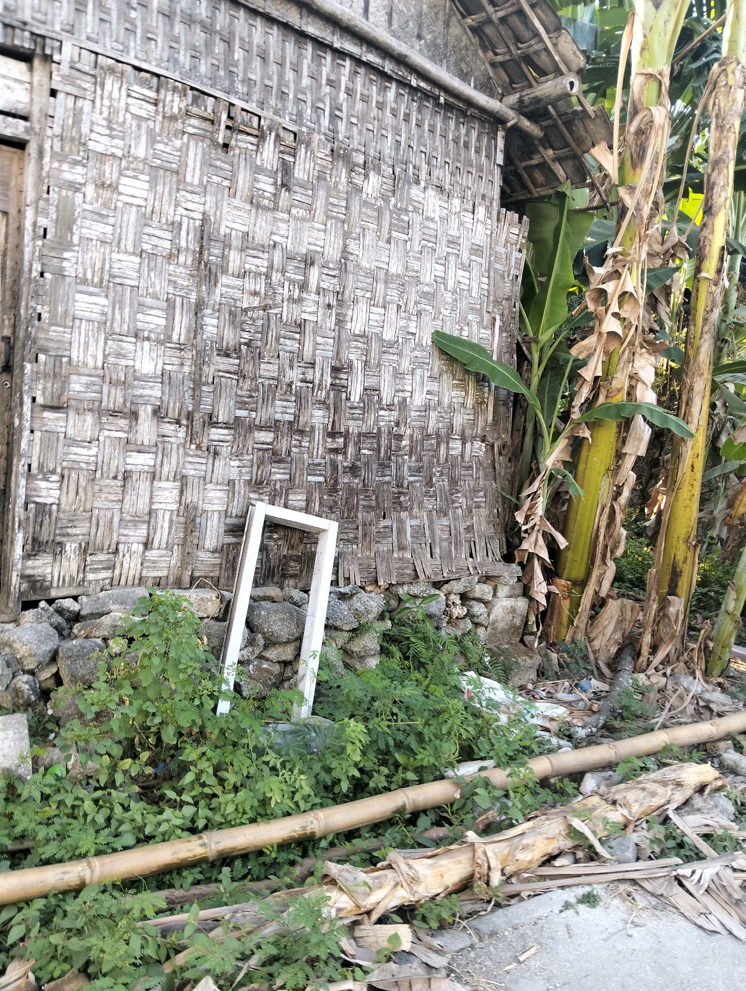 The image depicts a weathered bamboo wall of a structure, likely a house, located in Drajat, Indonesia. The wall is constructed from a tightly woven pattern of split bamboo, exhibiting signs of age and exposure to the elements. To the right of the wall, several banana trees stand tall, their dried leaves adding to the rustic aesthetic. In the foreground, a white rectangular frame lies on the ground amongst overgrown green vegetation and scattered stones. A section of a bamboo pole runs horizontally across the lower part of the image, with other fallen bamboo and debris also visible. The scene suggests a rural or semi-rural environment, characteristic of many parts of Indonesia. There are no people visible in the image.