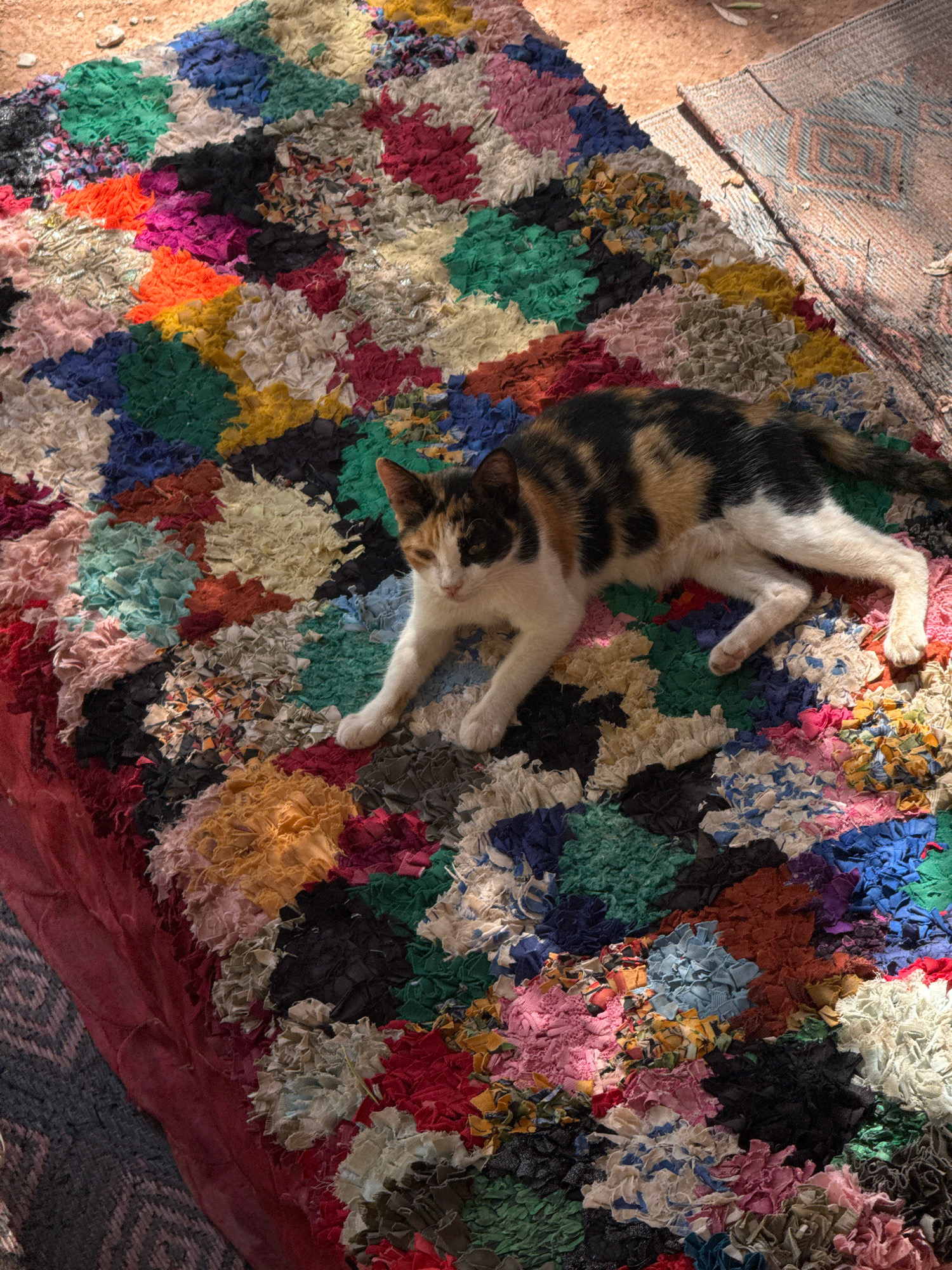 A calico cat is resting on a colorful, textured rag rug. The rug is comprised of various patches of fabric in shades of red, orange, yellow, green, blue, pink, white, and black, creating a vibrant patchwork effect. The cat, with patches of black, orange, and white fur, is lying down on its side, with its front paws extended. The scene is illuminated by sunlight, casting shadows and highlighting the textures of the rug and the cat's fur. The background shows a hint of the sandy ground and another woven rug. The location is specified as Aqesri, Morocco.