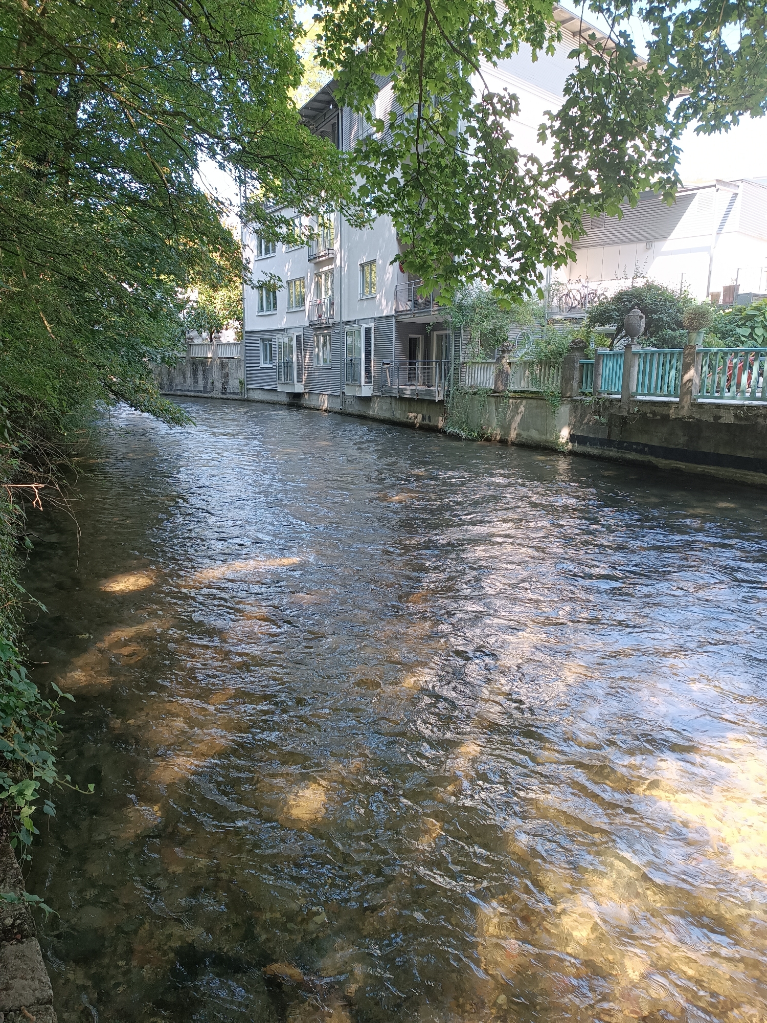 The image shows a view of the Eisbach river flowing through Munich, Germany. The river is shallow enough to see the rocky bed and is partially covered by the shadows of overhanging trees on the left. On the right bank, a modern, multi-story building with white and metallic siding is visible, featuring balconies and numerous windows. A light green metal fence with stone pillars runs along the riverbank in front of the building. The water is clear and rippling, reflecting sunlight and shadows. The scene is tranquil, with no people or animals visible.