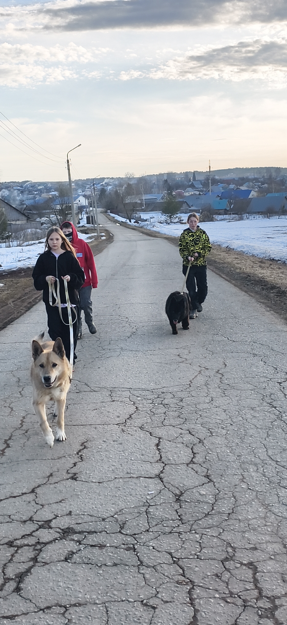 The image shows three individuals and two dogs walking on a cracked asphalt road in the city of Фоки, Russia. The individuals are a girl in the foreground holding the leash of a light-colored dog, a person in a red hoodie behind her, and a third individual in a patterned jacket walking a black dog further down the road. Patches of snow are visible on the sides of the road. The background includes houses and a cloudy sky. A utility pole stands to the left of the road.