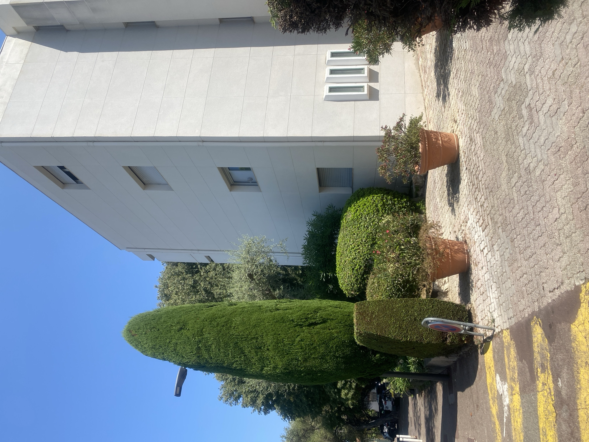 This is a street-level, eye-level, daytime, outdoor shot of a paved area next to a modern white building with a blue sky. In the foreground, there is a yellow and white striped pedestrian crossing. To the right of the crossing is a tall, conical evergreen tree, next to which is a round sign with a red circle and a diagonal line, indicating a prohibition. There are several large terracotta pots with greenery and flowering plants on the paved area, casting shadows. The building has multiple windows, some with white blinds, and three narrow, vertically oriented recessed windows on the side. Behind the building and the evergreen tree, there are more trees and bushes. The paved area is made of interlocking bricks. Cars are visible in the background on the left side of the image. This location is likely in Antibes, France, given the architectural style and vegetation.