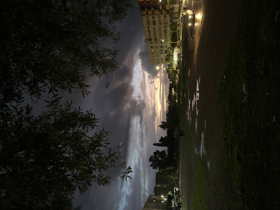 A dim cityscape emerges at dusk. Tall buildings line the horizon, interspersed with streetlights. A wet field with reflective puddles sits to the side. The sky is dramatically lit with clouds tinted with shades of orange and gray. A tree branch looms in the foreground, creating a contrast with the expansive scene. The image captures a quiet urban moment during the transition from day to night.