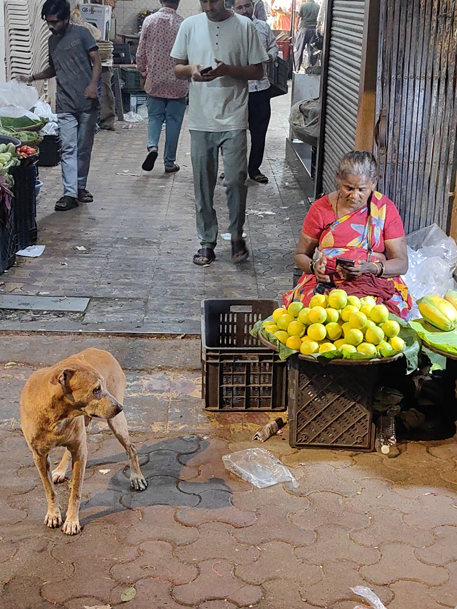 A brown street dog stands on a wet, patterned pavement in a Mumbai, India marketplace. The dog is in the foreground, looking to its left. Behind the dog, a woman in a bright red and yellow sari sits on the ground next to a large platter overflowing with yellow citrus fruits. She holds a mobile phone in her hands. To her left are several black plastic crates, one of which contains more fruit. Further in the background, two men walk away from the camera. One man, wearing a gray t-shirt and blue pants, is reaching into a plastic bag. The other man wears a pink patterned shirt and blue jeans. The marketplace appears to be outdoors, with a metal grate or shutter visible on the right side of the frame. The ground is littered with some debris, including plastic bags and wrappers.