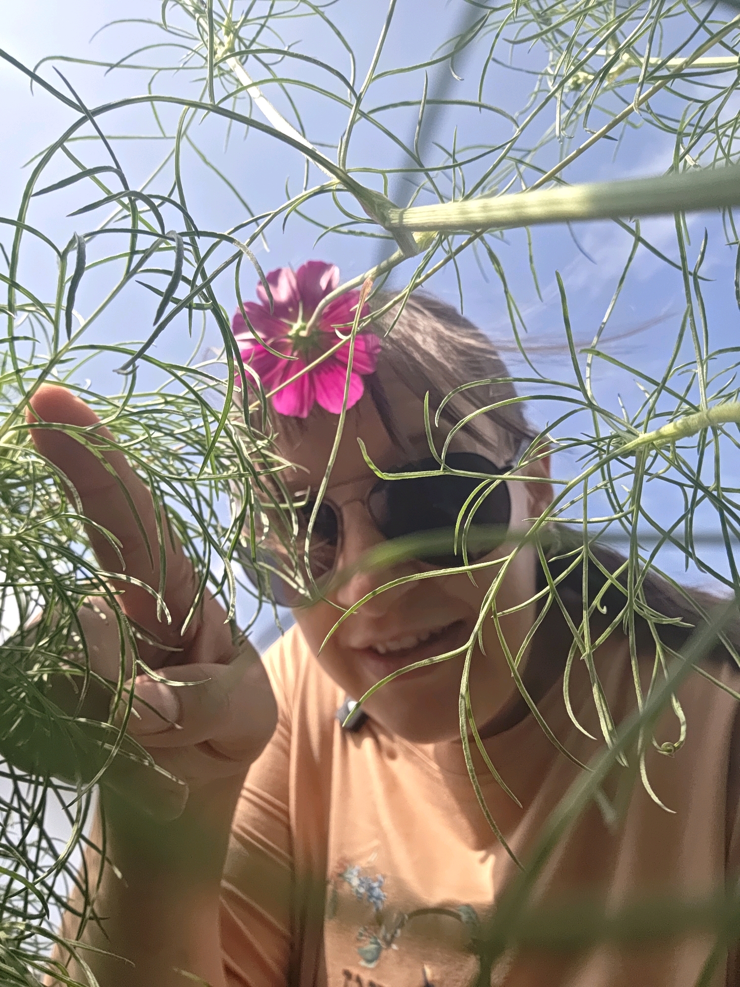 A low-angle shot captures a person from the chest up, peeking through the feathery foliage of a plant. The person is wearing sunglasses and a peach-colored t-shirt with a floral design. A pink cosmos flower is tucked behind their ear. The background is a clear blue sky. The image appears to have been taken outdoors in a natural setting, possibly a garden, under bright sunlight. The location is identified as Dunnae-myeon, South Korea. The perspective suggests the person is looking up and possibly pointing at something outside the frame.