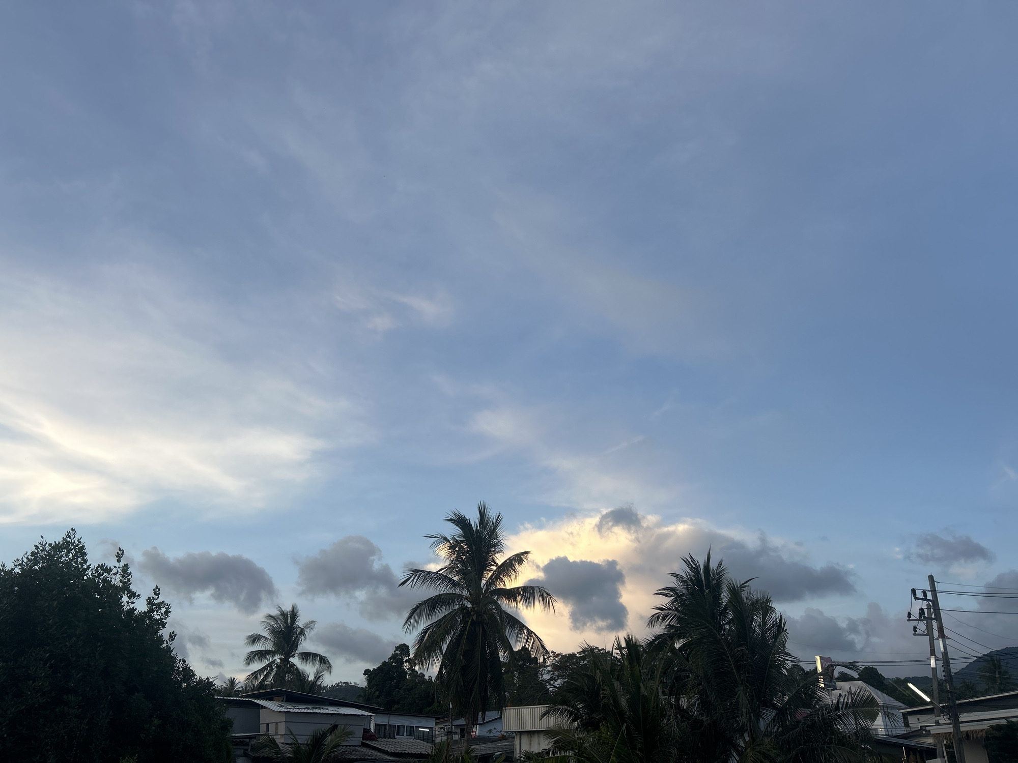 The image shows a sky in Baan Sri Thanu, Thailand. The sky has light blue hues with streaks of white clouds. Below the sky, there are several coconut palm trees with their fronds clearly visible. These trees are silhouetted against a slightly brighter area of the sky, suggesting the direction of the sun. The tops of buildings can be seen interspersed among the trees. A utility pole with electrical wires running horizontally across the frame is visible. The surrounding environment suggests a residential or suburban area in a tropical setting.