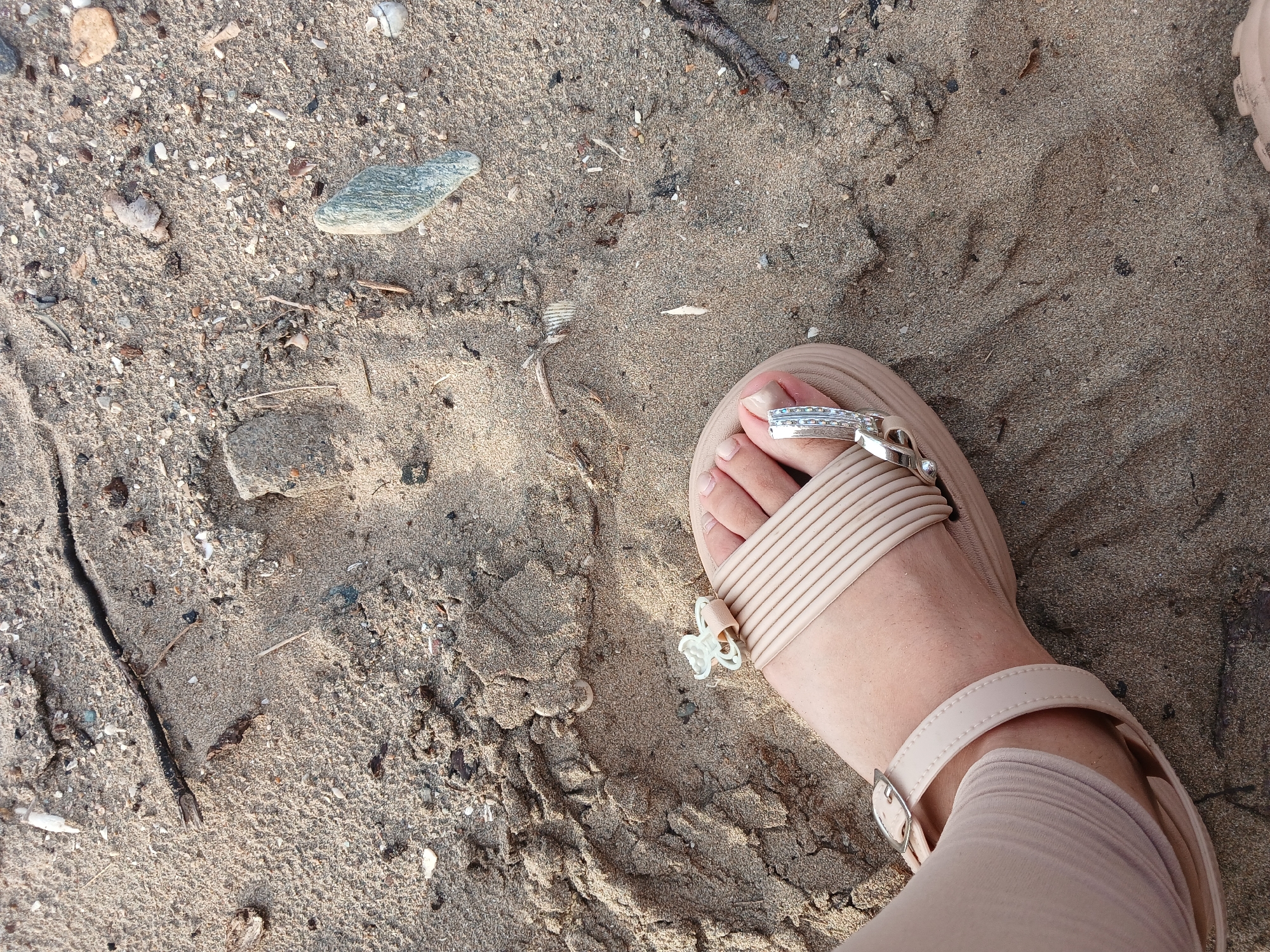 A close-up overhead shot captures a person's left foot wearing a tan sandal with a silver buckle and chain embellishment, adorned with a small, light blue butterfly-shaped charm. The foot is positioned on damp sand mixed with small shells and organic debris, suggesting a beach or shoreline environment. A distinct footprint is visible in the sand behind the foot, indicating recent human presence. The sand is uneven, with some areas appearing more compacted and others looser. In the background, more sand, small pebbles, and fragments of wood and shells are scattered. The lighting suggests it is daytime, possibly late afternoon, given the shadows. The image does not provide specific geographical markers that can definitively place it in Altagracia, Venezuela.