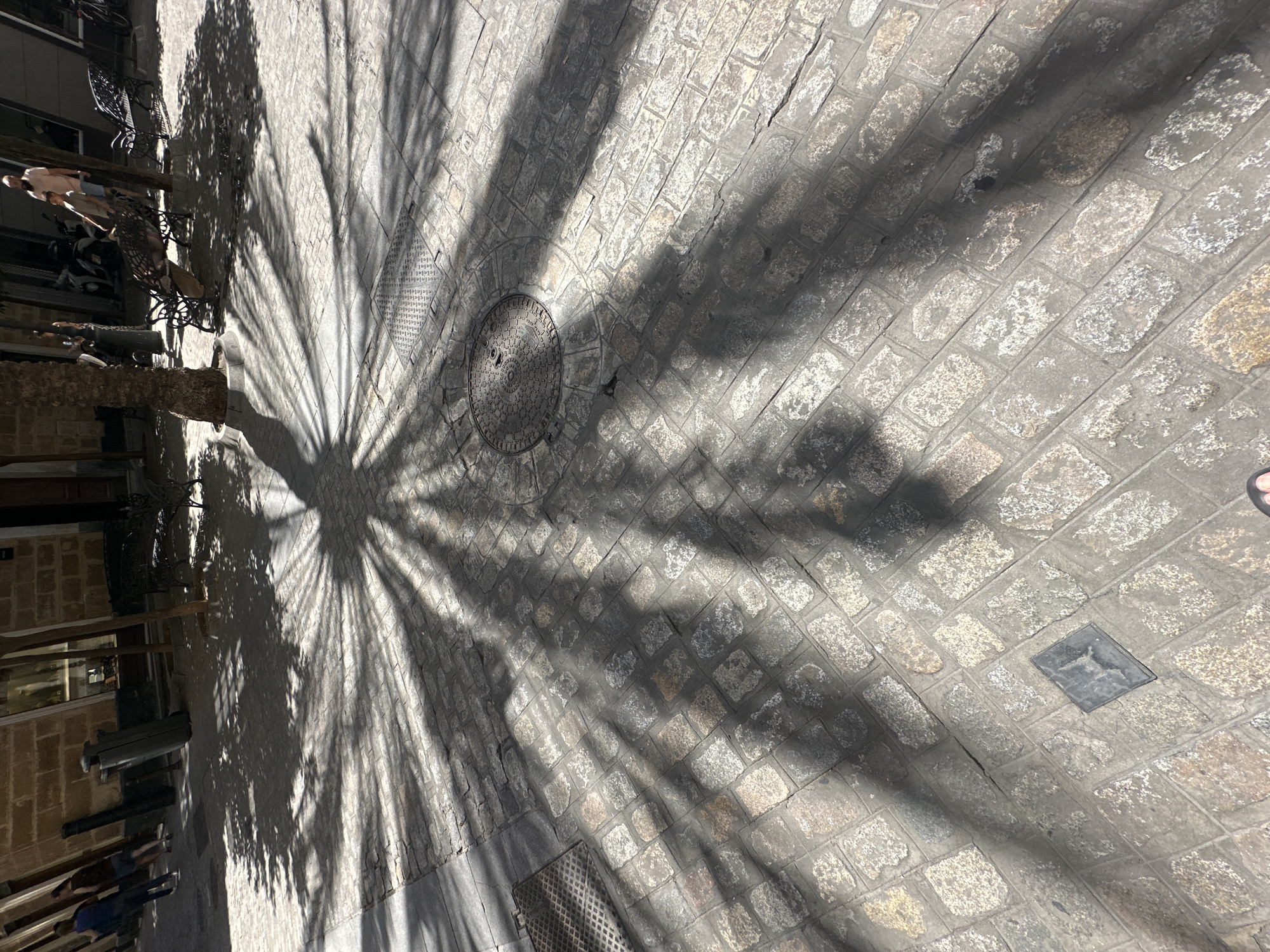 The image depicts a sun-dappled cobblestone street in Cádiz, Spain, likely in the historic district given the architecture visible. A large palm tree casts an intricate shadow pattern across the ground, creating a dramatic interplay of light and dark. In the background, hints of classical architecture, including stone buildings and arched windows, are visible. Several people are present on the street. Two individuals are walking away from the camera on the left side of the frame, one in a blue shirt and jeans, the other in a dark t-shirt and shorts. Further back, near a bench, two people stand together, one appearing to be an adult and the other a child, bathed in sunlight. A decorative wrought-iron bench sits under the shade of another tree. The foreground is dominated by the textured cobblestones, with a manhole cover and a small square metal plate embedded in the pavement. The overall impression is one of a warm, sunny day in a European city, with strong shadows highlighting the architectural and ground textures.