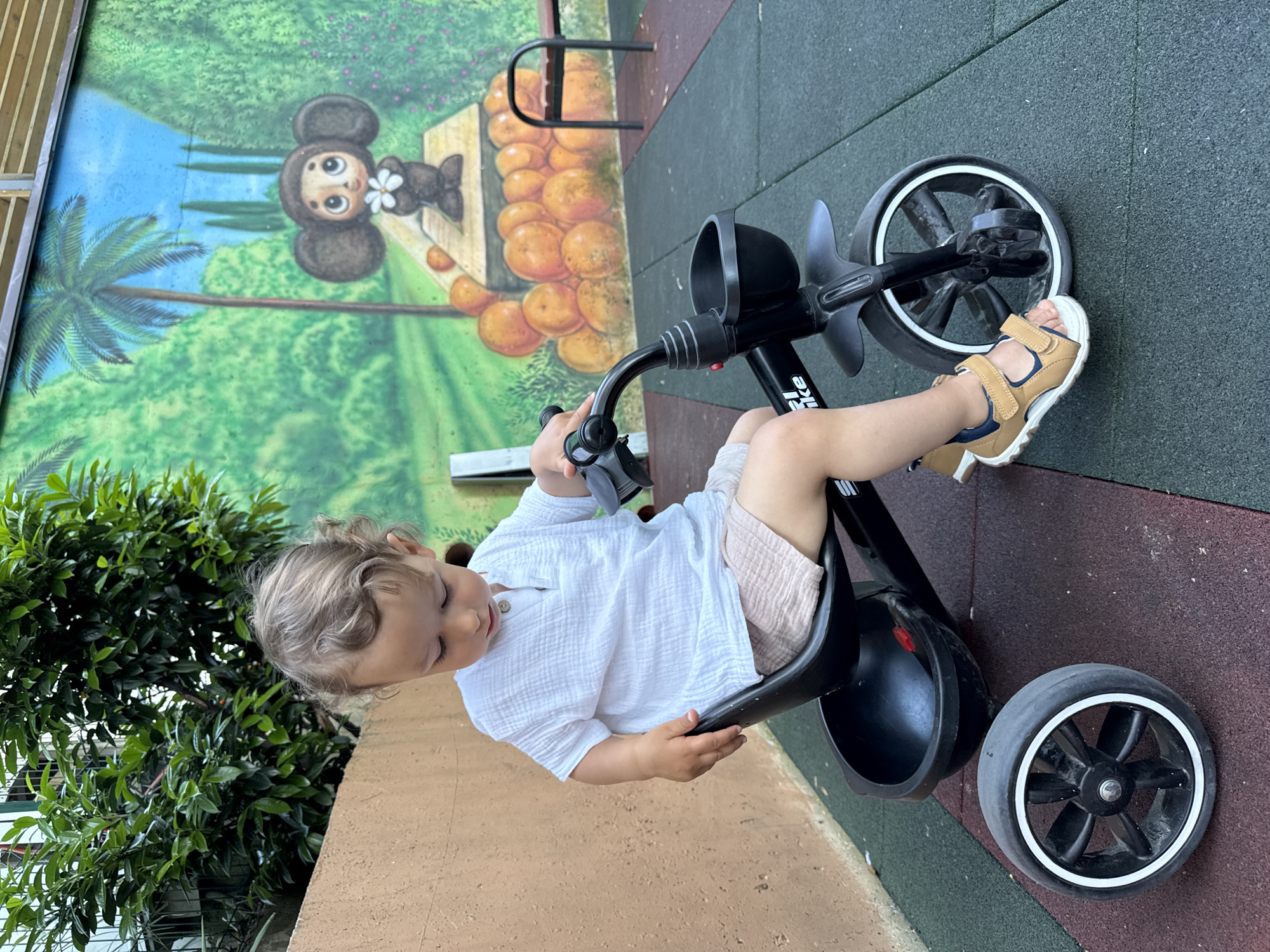 In Sochi, Russia, an outdoor scene captures a young toddler, approximately 1-3 years old, with light brown curly hair and fair skin. The child wears a white textured short-sleeved shirt, light tan shorts, and tan sandals with blue accents and white soles. The child is seated on a black tricycle, looking downwards towards the handlebars and front wheel. The child's left foot rests on the ground, while the right foot is on a pedal. One rear wheel of the tricycle is detached and lies on the ground to the left of the tricycle's rear frame.
The ground is composed of interlocking rubberized safety mats in shades of dark green and reddish-brown. To the left, a light brown textured wall stands, topped by green foliage. To the right, a painted mural covers a wall, depicting a green landscape with a blue sky, palm trees, and cypress trees. Prominently featured in the mural is a large, brown, big-eared cartoon character resembling Cheburashka, holding a white flower. This character stands on a wooden platform surrounded by painted oranges. A black metal bench with a wooden slatted seat is partially visible against the mural on the far right.