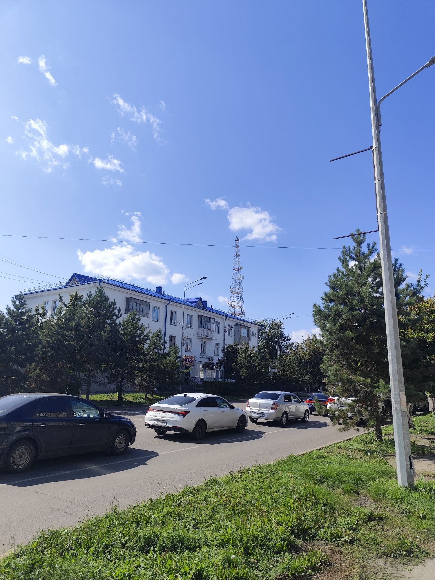 This is a medium-angle, eye-level, outdoor, daytime, full-shot image taken in the city of Petropavl, Kazakhstan. The scene depicts a street with traffic on a clear, sunny day.
In the foreground, a black sedan is parked on the left side of the road, partially obscured by a grassy verge. To the right of the black car, a white sedan is moving away from the camera in the same lane. Further down the road, several other cars are visible, including a silver sedan and a white sedan. The road surface is asphalt, with white lane markings. The grassy verge on the right is lush and green.
In the background, a modern, multi-story white building with a bright blue roof is situated behind a line of evergreen trees. The building has numerous windows and balconies. A tall, lattice-like telecommunications tower is prominent in the sky to the left of the building. A tall, concrete lamppost with a streetlamp attached is on the right side of the image, extending from the bottom to the top. The sky is a clear blue with scattered white clouds. Power lines are visible strung across the sky. The overall impression is a well-maintained urban environment on a pleasant day.