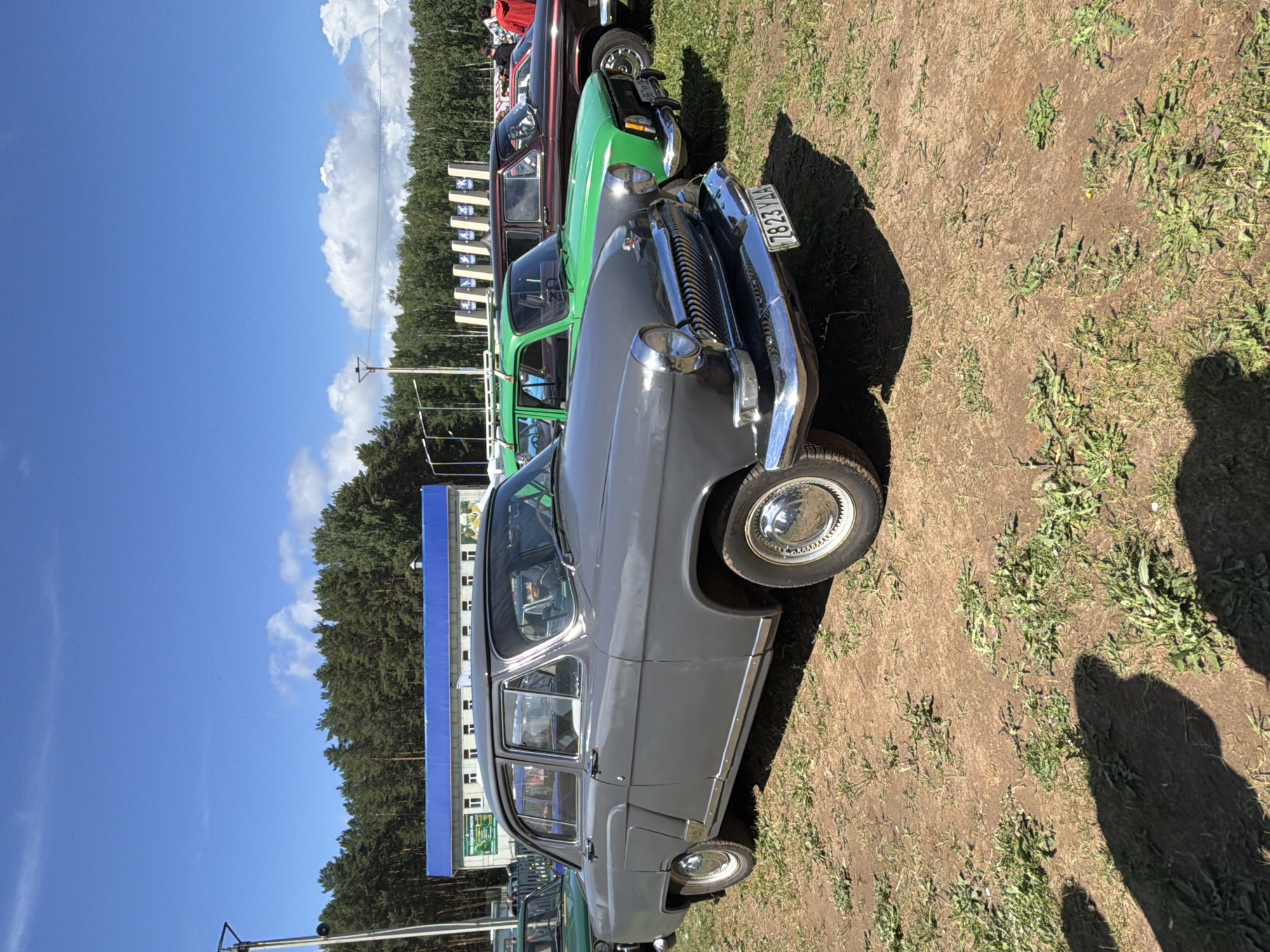 The image depicts a row of vintage cars parked on a grassy field in what appears to be Chaikovsky, Russia, based on the license plates. The foremost car is a gray Volga GAZ-21, followed by green and maroon-colored cars of a similar era. A building with a blue roof is visible in the background, possibly a public structure. The sky is blue with scattered clouds, indicating fair weather. There's a tall line of trees separating the sky and the structures. The image appears to be taken during daylight, as shadows of people are visible.
