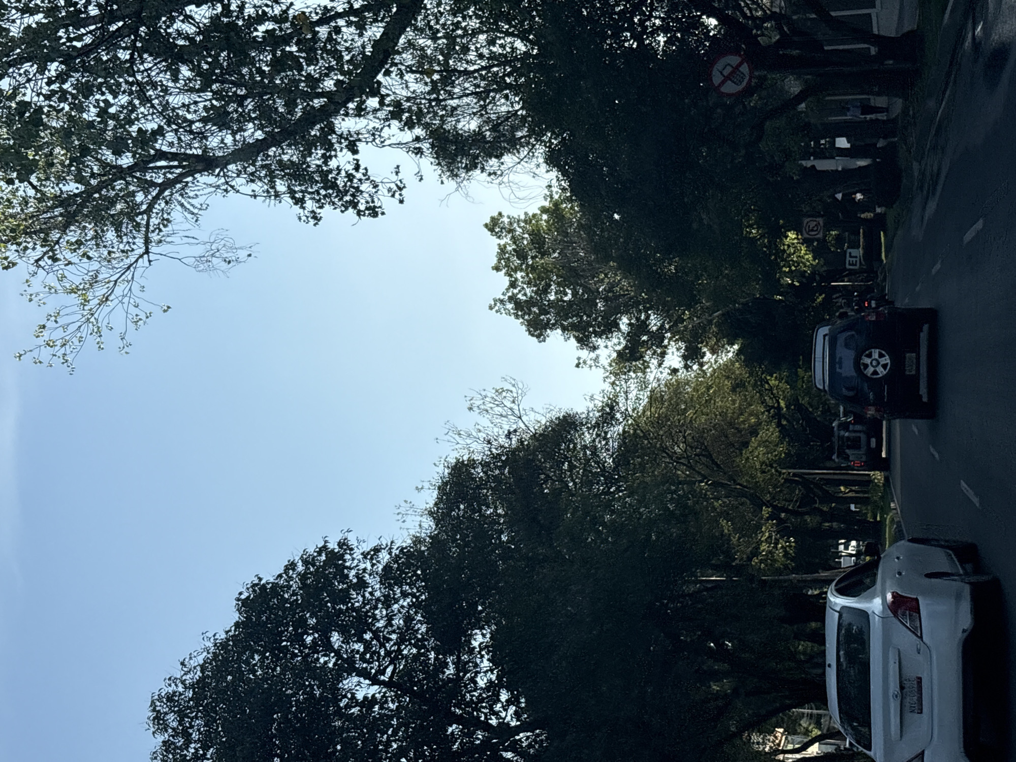 This is a photograph of a street in Mexico City, Mexico. The view is oriented along the roadway, with trees lining both sides and a blue sky overhead. Two cars are visible in the foreground: a white hatchback on the right and a dark-colored SUV partially visible in front of it. Other vehicles can be seen further down the street. Street signs are placed along the road.
