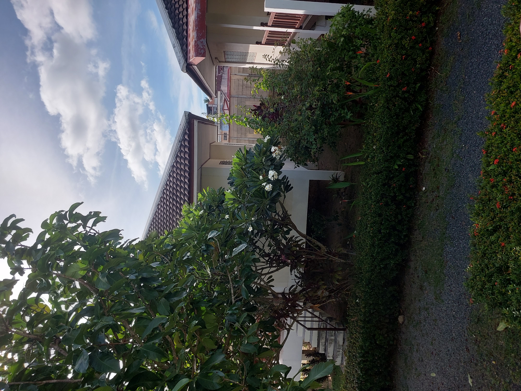 The image shows a view of two houses with tiled roofs, surrounded by lush green vegetation. A large tree with dark green leaves occupies the left side of the frame, partially obscuring the view of one of the houses, which has white walls and a raised foundation accessible by stairs. White flowers are visible on a bush in front of this house. The second house, to the right, has cream-colored walls and a wooden railing. The foreground features a gravel pathway and various plants and bushes, some with small red flowers. The sky above is blue with scattered white clouds. The scene appears to be a residential area in Baan Mae Nam, Thailand. No people are visible in the image.