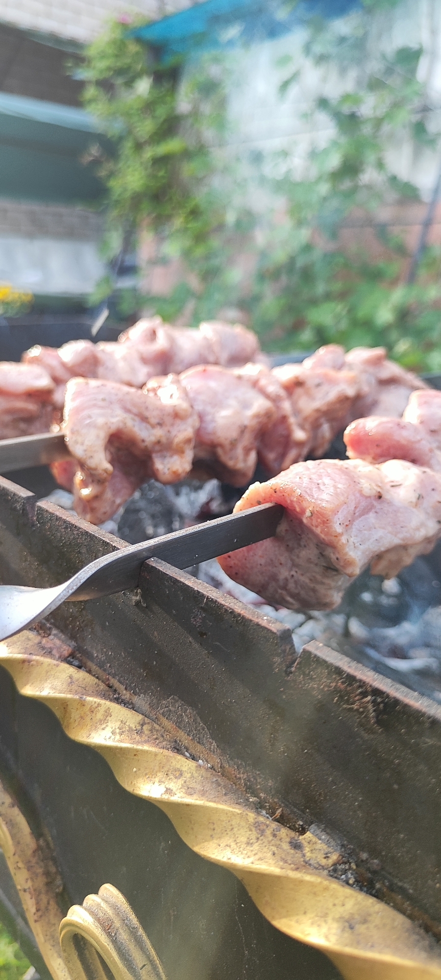 A close-up shot captures raw meat skewers being grilled over hot coals. The skewers are made of metal and are positioned on a black metal grill. The meat appears to be marinated, with visible seasoning. Smoke rises from the grill, indicating that the cooking process is underway. In the background, blurred green foliage and a hint of a building suggest an outdoor setting, possibly a backyard or a park. The overall lighting is natural, indicating daytime. There are no people visible in the image. The scene evokes the preparation of a traditional barbecue or shashlik. The specific location of Лёзненскі сельскі Савет, Belarus is not discernible from the visual information provided.