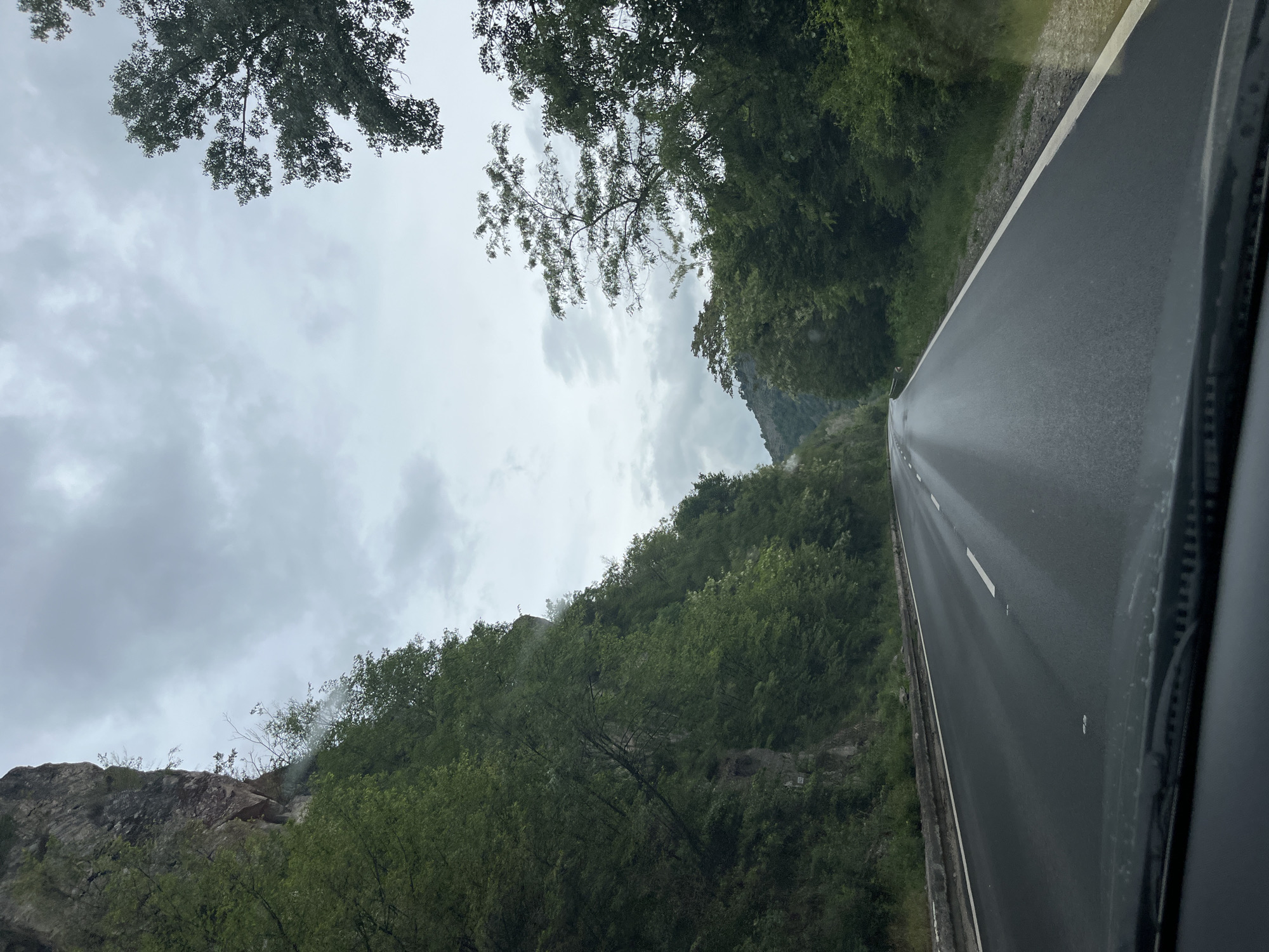 The image depicts a road winding through a mountainous region near Gospodintsi, Bulgaria, taken from inside a vehicle. The road is wet, suggesting recent rain. Lush greenery covers the hillsides on either side of the road, with trees overhanging the path in places. The sky is overcast and cloudy. The overall impression is one of a rural, potentially remote area.