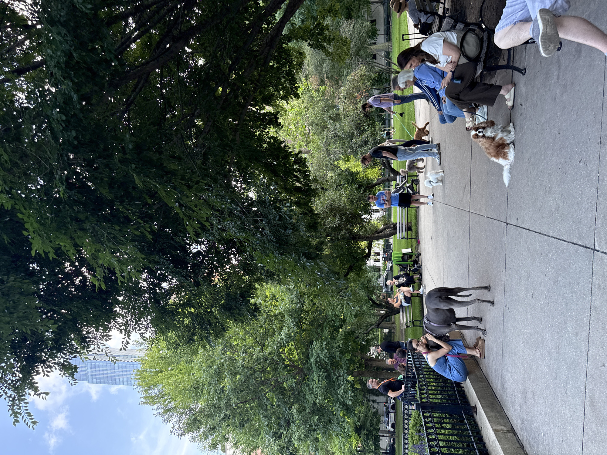 A group of people and their dogs are gathered in a park on a paved area with a fence and trees in the background. The park appears to be in an urban setting, with a tall modern building visible through the trees. A woman in a blue jumpsuit is crouching down, petting a large gray dog. Several other people are sitting on benches or standing, some with dogs on leashes. The overall atmosphere is relaxed and social, suggesting a dog park or a gathering of dog owners. The scene is well-lit, indicating it is daytime, likely late afternoon given the shadows.