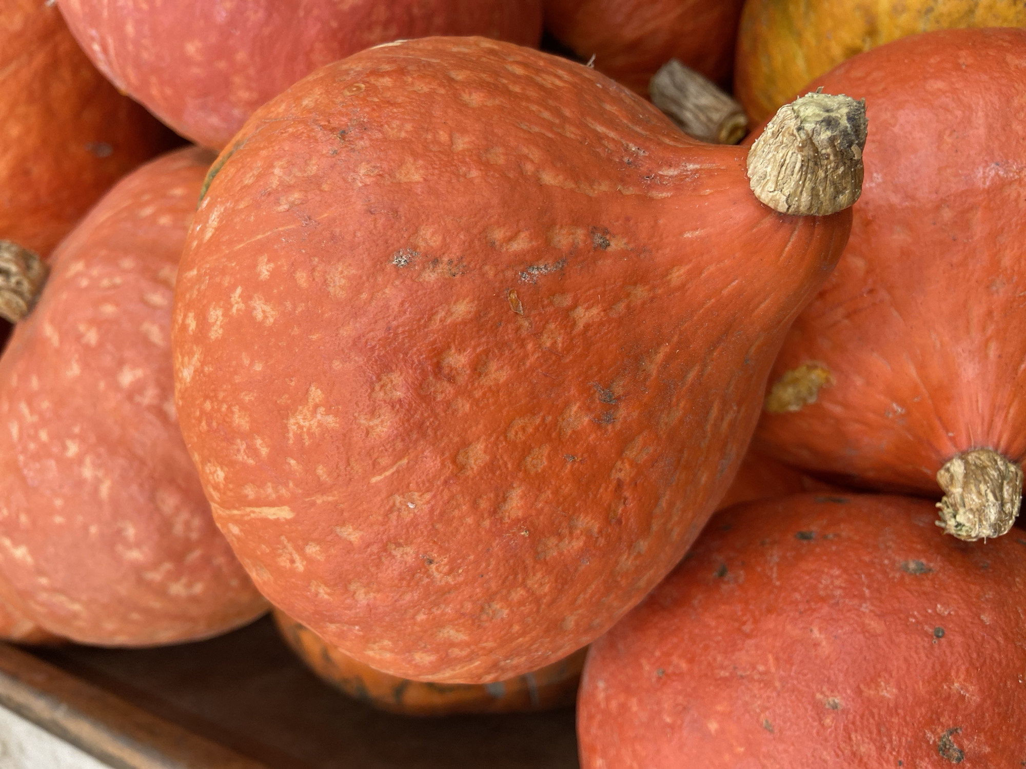 This is a close-up, eye-level shot of a pile of ripe, orange pumpkins. The pumpkins have a rough, textured skin with some lighter, mottled patches and a few small dark spots. The stem of the most prominent pumpkin in the foreground is visible, showing a dry, woody texture. Other pumpkins are partially visible behind and around it, with one to the lower right appearing to be a different variety, with a yellow-orange hue and a striped pattern. The background is slightly blurred, suggesting a shallow depth of field, with a hint of a wooden crate on the upper left. There are no people or animals present in the image. The scene appears to be an outdoor market or farm stand.