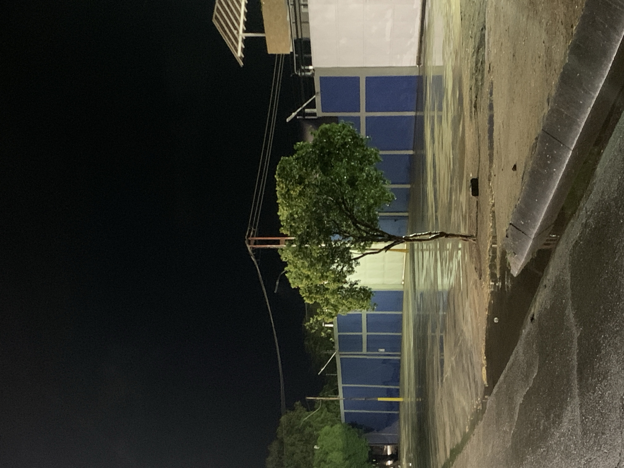 The image depicts a nighttime scene in Altagracia, Venezuela, after rainfall, characterized by a predominantly dark sky and illuminated wet surfaces. A single, small-leafed tree stands centrally in the midground, its foliage green and appearing wet. The ground surrounding the tree and extending into the background consists of a wet, reflective surface, likely pavement or an open area, covered in puddles that mirror the overhead light sources. A shallow puddle is present in the immediate foreground, to the right of an asphalt curb, containing a small, white, spherical object. To the left, an asphalt road or path is visible, also wet and reflective.
In the background, a long, blue wall or fence structure extends across the scene, featuring lighter vertical and horizontal support beams. To the right of the blue structure, a section of white wall is visible. Above these walls, utility poles with overhead power lines stretch horizontally across the frame. Some poles, particularly one near the left side of the blue wall, have yellow painted bases. Barbed or razor wire elements are visible along the top of the blue and white walls, indicating a secure perimeter. On the far right, a building or elevated structure with a distinctive slatted or striped brown roof is partially visible against the dark sky. No individuals, animals, or vehicles are present in the scene.
