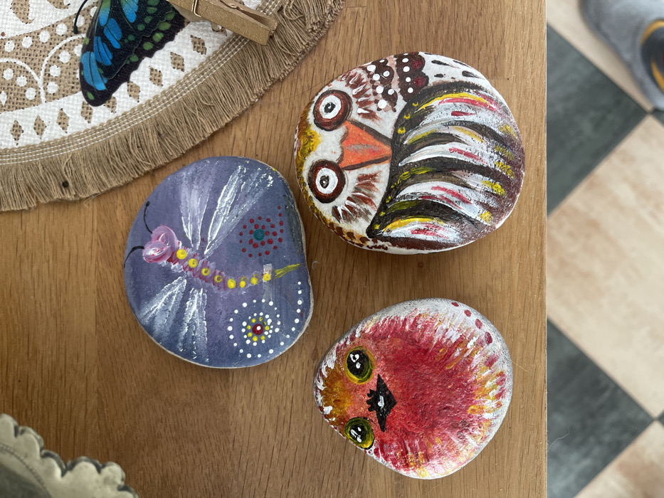 This media file presents a close-up, top-down view of three decorated, oval-shaped rocks and part of a decorative placemat on a wooden surface, likely a table. The scene is set indoors, with bright, natural-looking light, possibly during the daytime. The location context is Castione, Italy.
The main subjects are the three painted rocks. The rock in the top right features an owl-like design, predominantly white with brown, yellow, and orange details forming feathers and large, wide-set eyes with dark pupils. The rock on the middle left is painted purple and depicts a dragonfly with white, translucent wings, a segmented yellow body, and a pink head. It also has circular dot patterns in red and green, and white and yellow, on its surface. The third rock, located at the bottom right, is painted vibrant red and yellow, resembling a small, fluffy creature or bird face with large green and black eyes and a small black beak or mouth.
Partially visible in the top left corner is a round, decorative placemat with a fringed edge. It has a light brown fabric base with a white embroidered or printed pattern. Resting on the placemat is a blue and black butterfly decoration, held in place by a small, wooden clothespin.
The items are arranged on a wooden surface, which appears to be a table or countertop. In the background on the right side of the image, a tiled floor with a black and white checkerboard pattern is partially visible. There is no visible text in the image. The overall impression is one of handmade crafts displayed in a home setting.