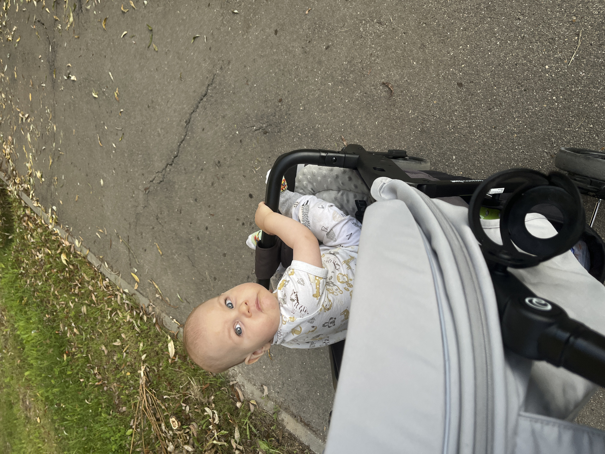 A baby with blue eyes and a bewildered expression is sitting in a stroller on a paved path. The baby is wearing a white onesie with a pattern of animals. The stroller is grey and black, with a cup holder. The path is cracked and has fallen leaves scattered on it. To the left of the path is a grassy area with more fallen leaves and some branches. The scene appears to be outdoors, possibly in a park or residential area. There is no specific indication of the city of Novy, Russia.