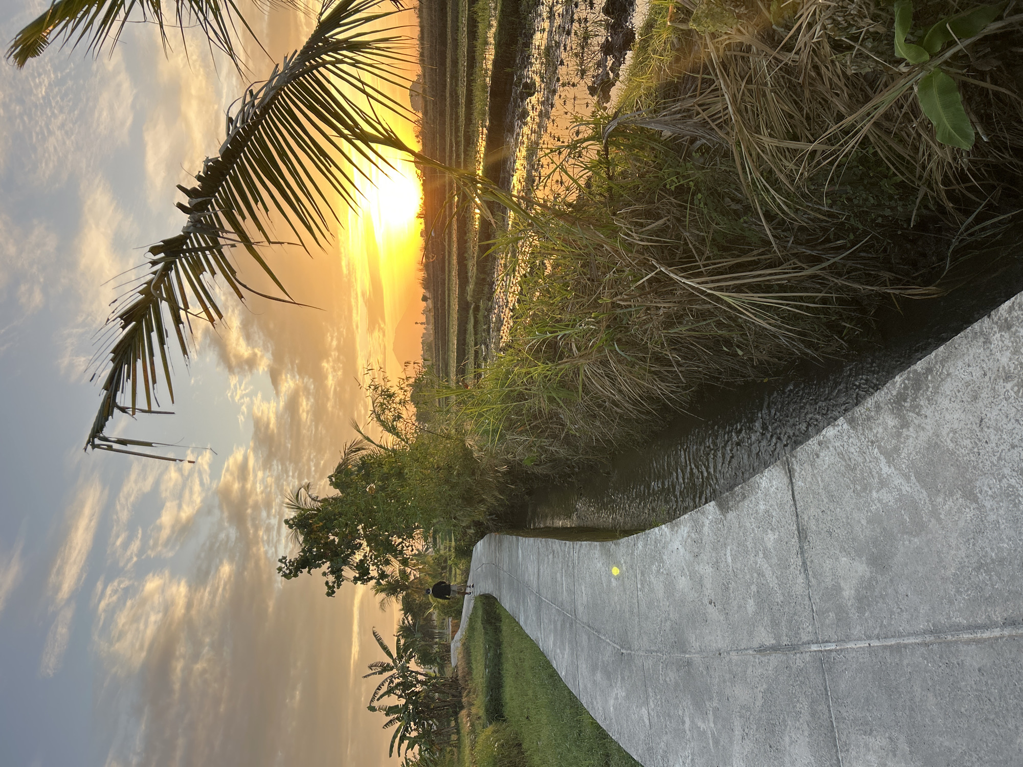 A person walks along a paved pathway next to a narrow canal in a rural area of Mengwi, Indonesia. The pathway curves to the left, bordered by lush green grass on the left and the canal on the right. Beyond the canal, a rice paddy field is visible, reflecting the warm hues of a sunset. Tall grasses and palm fronds frame the right side of the scene, with the setting sun casting a golden glow over the landscape. The sky is filled with wispy clouds tinged with orange and yellow. The person is seen from behind, wearing a dark shirt and shorts, with a hat, and is walking away from the camera. The overall scene depicts a serene rural evening in Indonesia.