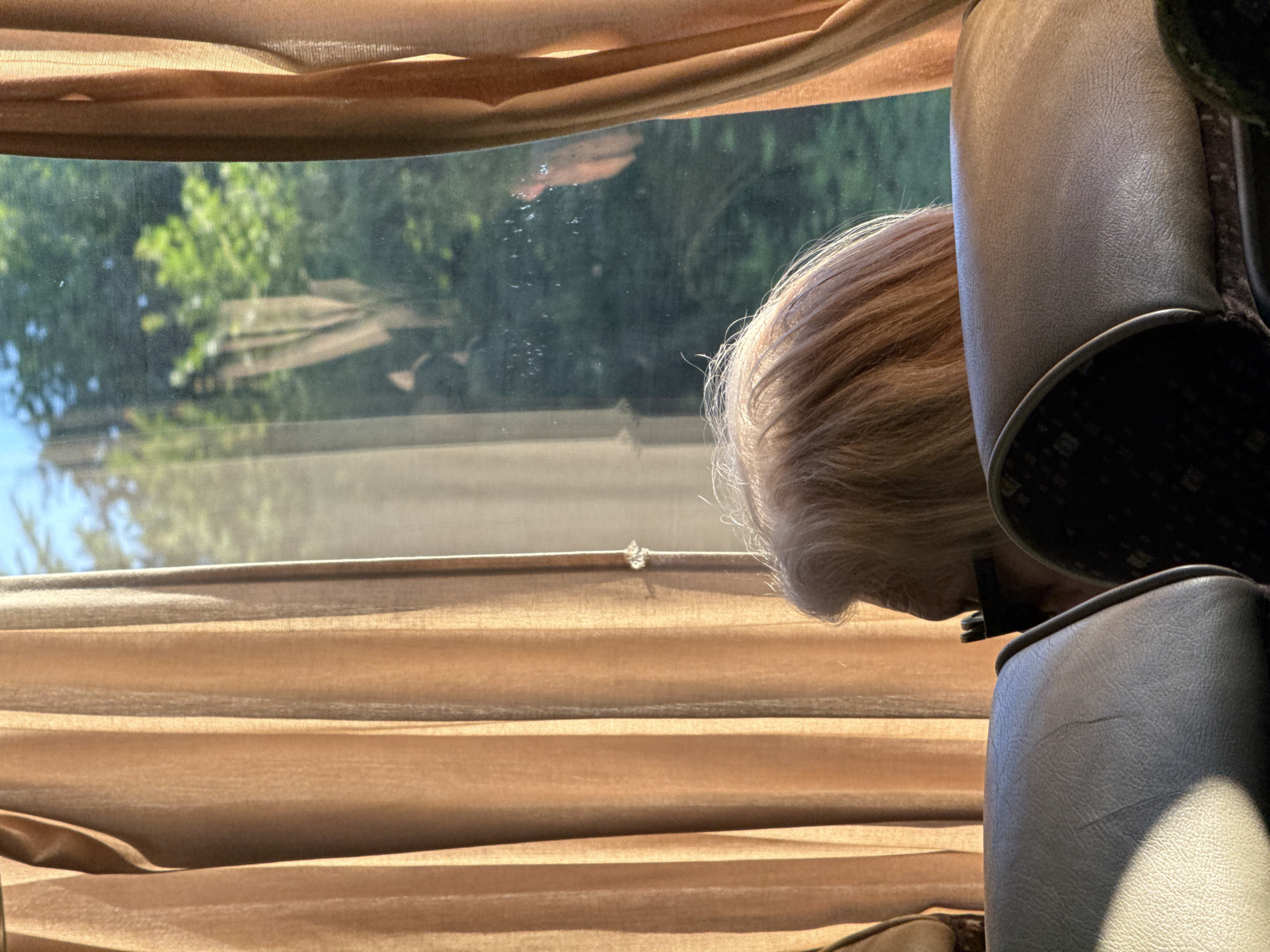 The image shows an elderly person, viewed from behind and slightly to the side, sitting on a bus. The person has light-colored hair and is wearing glasses. They are looking out a window, with brown curtains to their left and right. Outside the window, green trees and a blue sky are visible, with a faint reflection on the glass. In the foreground, parts of bus seats are visible. The scene appears to be during daylight. The location is the city of Kiosevtsi, Bulgaria.
