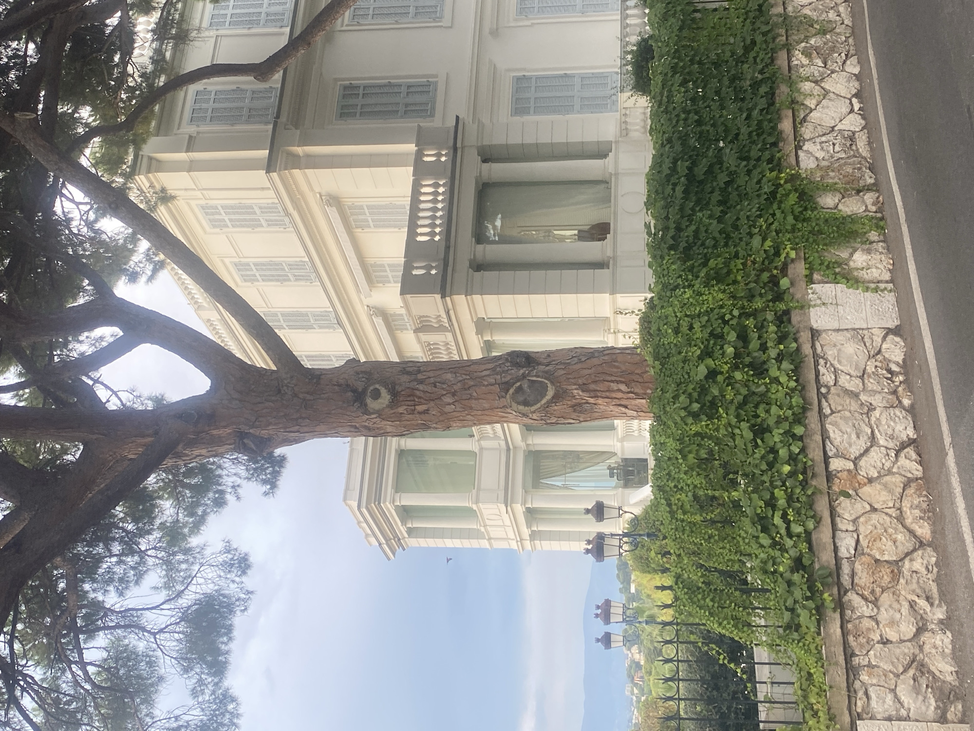 In Antibes, France, a large white building with multiple floors and light blue shutters stands prominently. The building features classical architectural elements, including columns and balconies. In the foreground, a thick tree trunk dominates the left side of the frame, its branches extending upwards and obscuring parts of the building and the sky. A dense green hedge runs along the front of the property, separating it from a stone wall and a road. The wall is constructed from rough-hewn stones. Several ornate street lamps are visible behind the hedge. In the distance, hills and a hazy sky are visible.