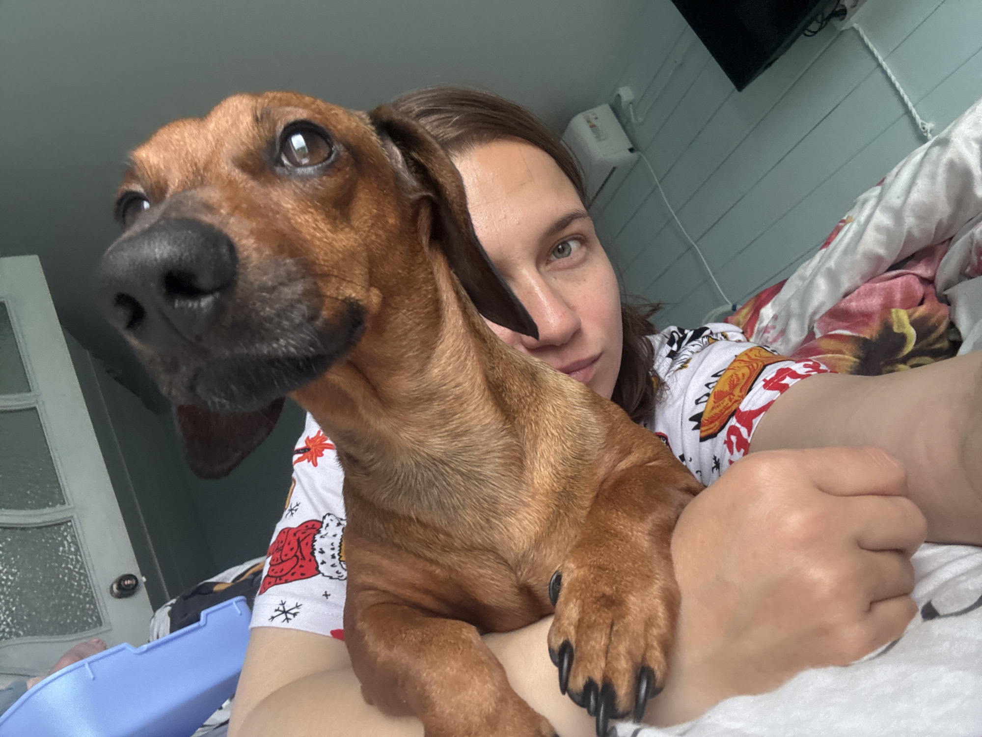 A close-up, eye-level indoor portrait features a woman and her dachshund dog, likely in a bedroom in Раздолье, Russia. The woman, with brown hair and green eyes, is visible on the right side of the frame, looking towards the camera with a calm expression. She wears a white shirt adorned with red and orange patterns, possibly festive or cartoon-like, and is partially covered by patterned bedding.
Resting against the woman is a short-haired, brown dachshund, prominently positioned in the foreground. The dog is to the left of the woman's face, looking upwards and slightly left with an alert and inquisitive gaze. Its dark nose and visible dark nails are notable details.
The background reveals a light blue or green wall with horizontal paneling. A white box-like unit (possibly an air conditioner or electrical device) and a white rope are mounted on the wall. A dark screen, potentially a television, is mounted higher up. Part of a white door with frosted glass panels is visible on the far left. Below the dog, a blue plastic container is partially seen. The overall scene suggests a relaxed moment of companionship between the woman and her pet. No visible text is present.