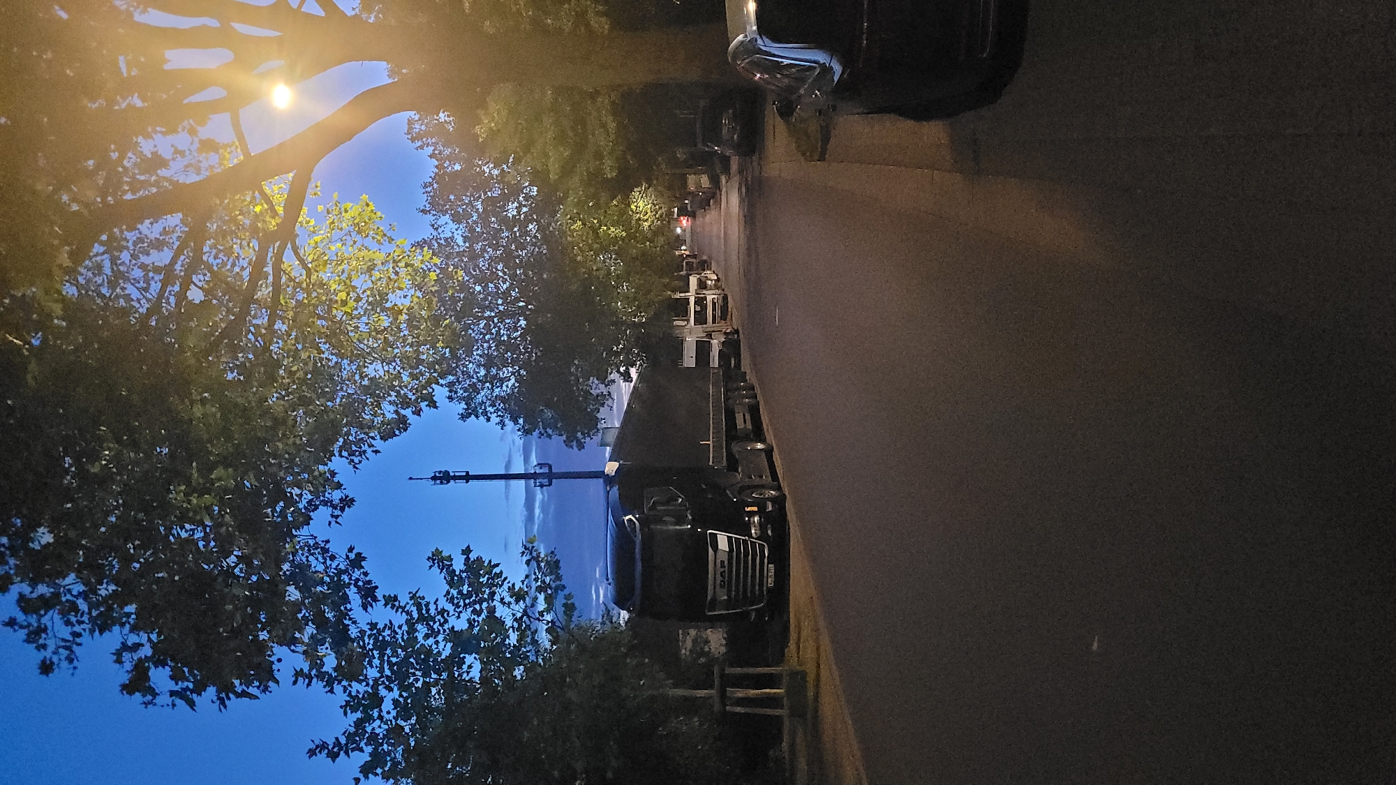 This is a vertically oriented image taken at dusk or dawn, with a street lined with parked trucks and trees. The sky is a deep blue, transitioning to lighter hues near the horizon, suggesting twilight. A bright streetlamp illuminates the left side of the frame, casting long shadows and highlighting the branches of a large tree. The street itself is asphalt and appears to be empty except for the parked vehicles.
The primary objects in the scene are a line of trucks parked along the right side of the road. The closest truck is a large, black semi-trailer truck, with a visible "DAF" logo on its grille. Its headlights are off. Further down the street, other trucks, some with trailers and some appearing to be smaller utility vehicles, are also parked. The activity, or lack thereof, is the static scene of parked vehicles.
Notable details include the lighting, which is characteristic of twilight, with a mix of natural sky light and artificial streetlamp illumination. The weather appears to be clear, given the visibility of the sky. There are no discernible people visible in the image. The overall mood is quiet and still, perhaps indicating a resting period for the trucks. There is a license plate visible on the front of the DAF truck, but the text is illegible due to the resolution.
