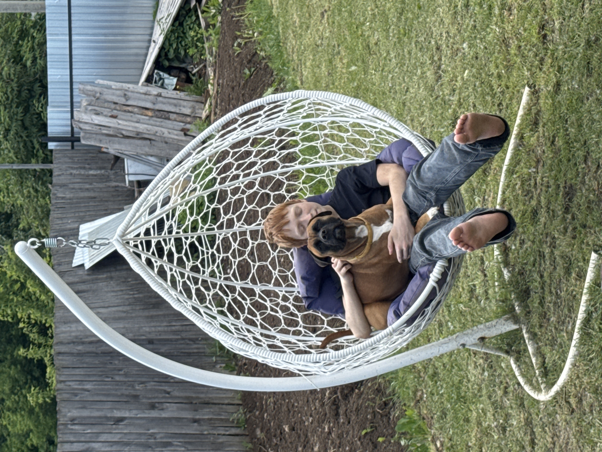 A red-haired individual wearing blue jeans, a dark shirt, and a blue jacket is reclined in a white, teardrop-shaped hanging chair with a boxer dog. The dog is lying on top of the individual, who is hugging the dog. The chair is situated on a grassy lawn. In the background, there's a wooden fence and a metal shed. The photo was taken in the city of Chaikovsky, Russia.