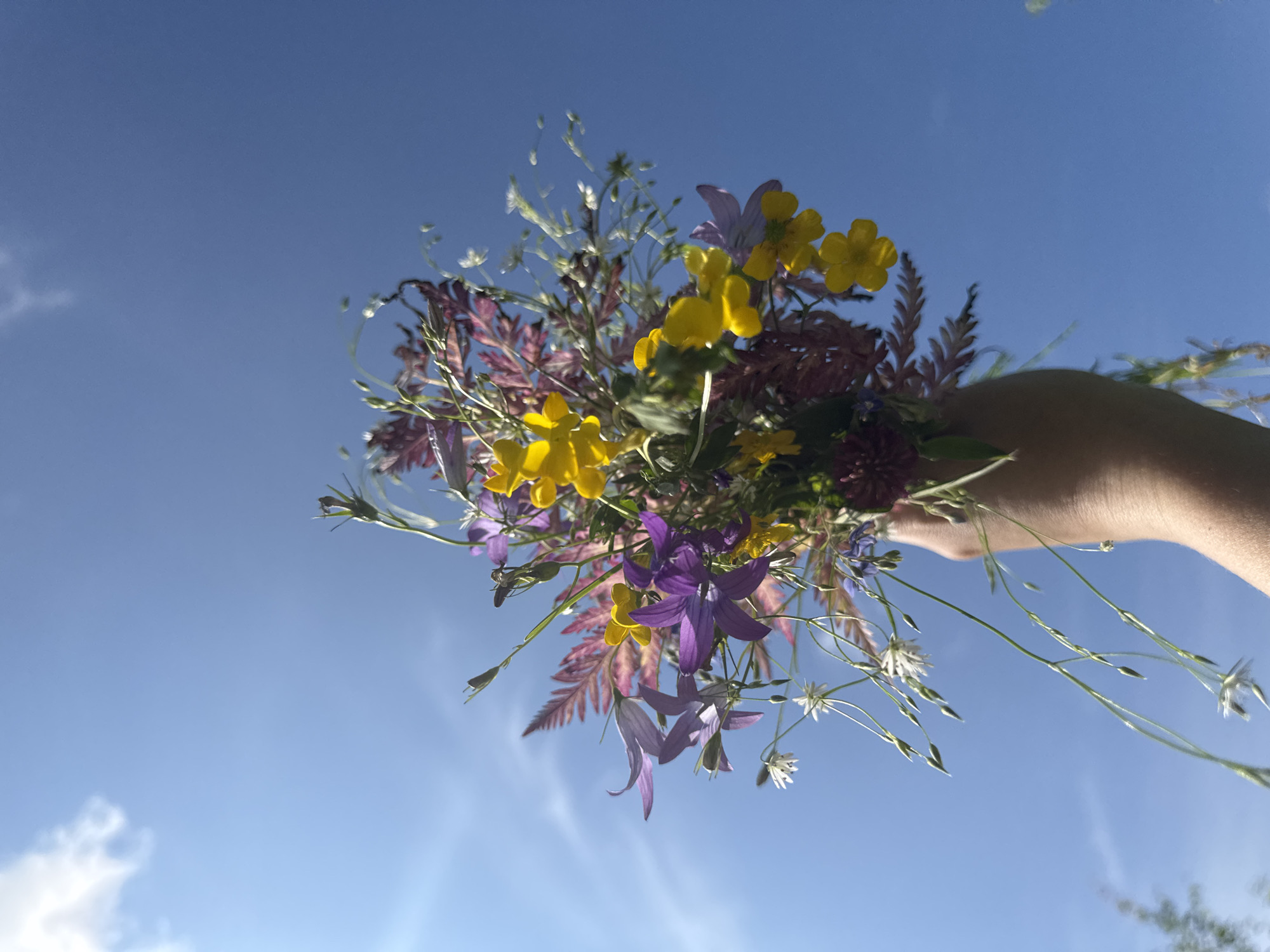A hand holds a bouquet of wildflowers against a bright blue sky with some wispy clouds. The bouquet contains a mix of purple, yellow, and white flowers, along with some feathery, reddish-purple leaves. The flowers are arranged loosely and appear to be wild specimens. The hand is tanned and appears to be from an adult. The image is taken from a low angle, looking up at the sky. The location is the city of Vassyata, Russia.