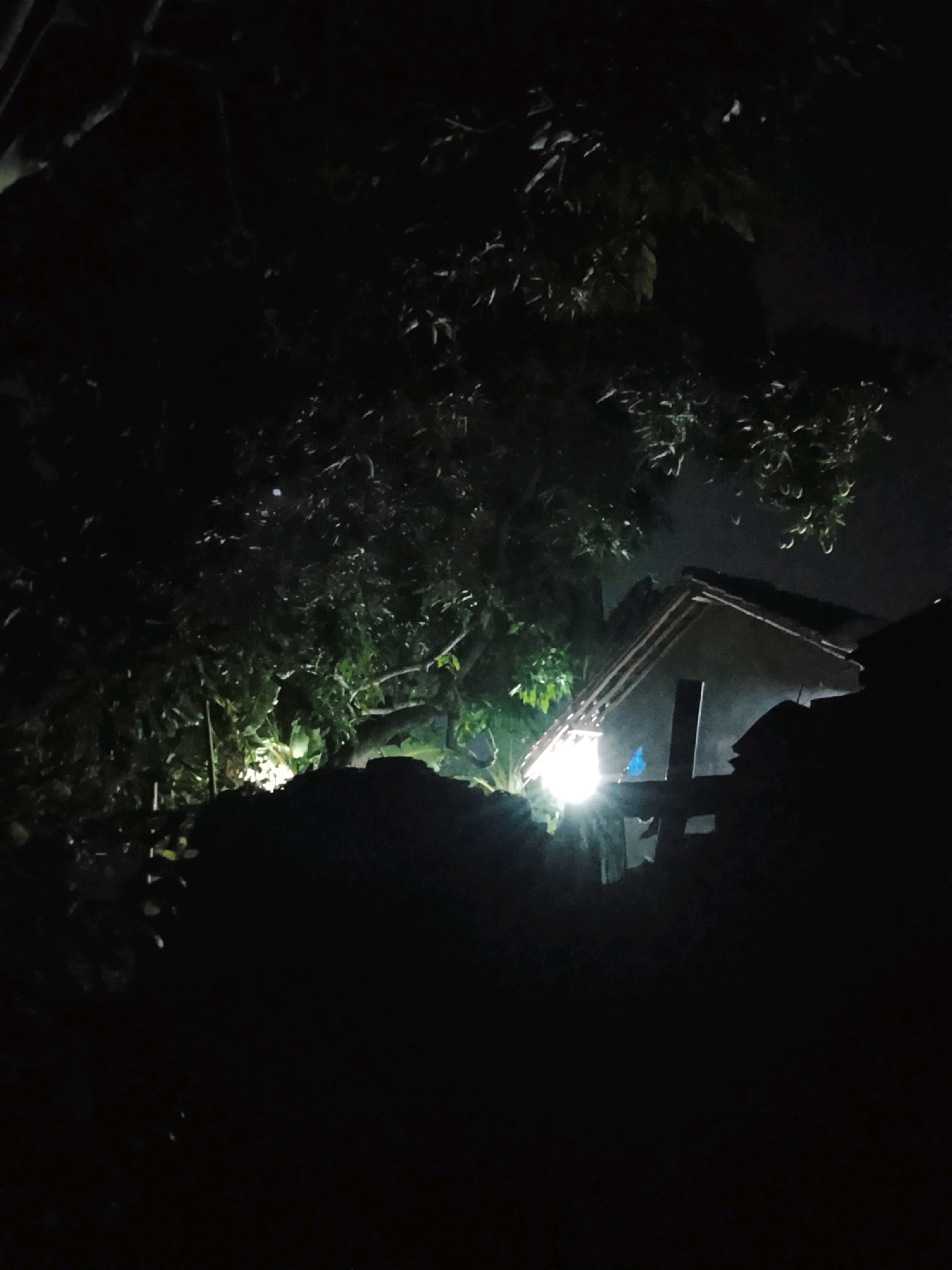 The image depicts a nighttime scene in Ujungrusi, Indonesia, focusing on a dimly lit residential area. In the foreground, a dark, silhouetted mound of earth or rubble is visible. Behind this mound, a portion of a house with a sloped roof is illuminated by a bright light source. A wooden cross-like structure stands in front of the house, partially obscured by shadows and the light. Lush green foliage from trees overhangs the scene from the top left and right. The overall atmosphere is dark and somewhat mysterious, with the light source creating stark contrasts and casting long shadows.