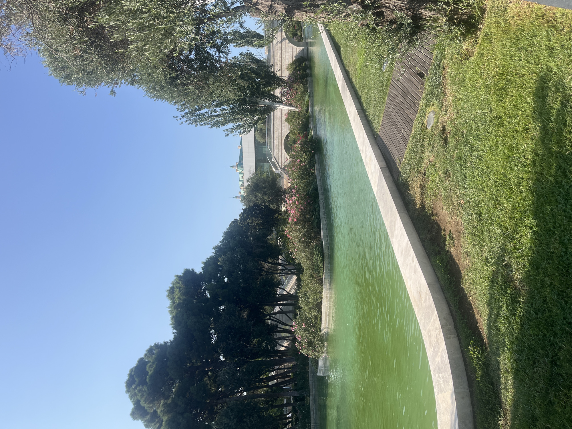 The image depicts a serene outdoor scene in Baku, Azerbaijan, likely within a park or garden setting. In the foreground, a vibrant green body of water, possibly a pond or canal, dominates the left side of the frame. A light-colored, polished stone border runs along the edge of the water, separating it from a well-maintained grassy lawn. To the right, a mature olive tree with a textured trunk stands prominently, its branches reaching upwards. Further into the background, a picturesque bridge with arched openings spans across the water. Lush greenery, including flowering bushes with pink blossoms and tall, slender trees, surrounds the bridge and the island in the water. Beyond the greenery, a modern building with a light-colored facade and a distinctive green-domed structure is visible, suggesting the presence of a cultural or institutional landmark within the city. The sky is a clear, bright blue, indicating fair weather. There are no people or animals visible in the image. The overall impression is one of tranquility and carefully curated natural beauty within an urban environment.