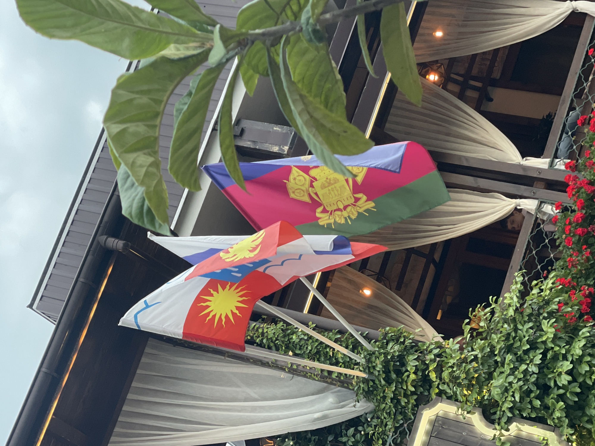 The image captures a view from a balcony or outdoor seating area, likely at a restaurant or cafe, with a building structure in the background. Several flags are prominently displayed on poles: a flag with a red field and a yellow sun is visible on the left, followed by a white and blue flag, and then a flag with a magenta and green field featuring a yellow emblem with crests and figures. The building has a dark brown roof and trim, with white sheer curtains adorning openings. Green foliage, including ivy on a pole and a branch with large leaves in the foreground, adds a natural element. Red flowers are visible at the bottom edge of the frame. A person is partially visible through the curtains in the middle ground, looking towards the right. The lighting suggests it is either early morning or late afternoon. The scene is likely located in Sochi, Russia, given the context of the request, although this cannot be definitively determined from the visual elements alone.