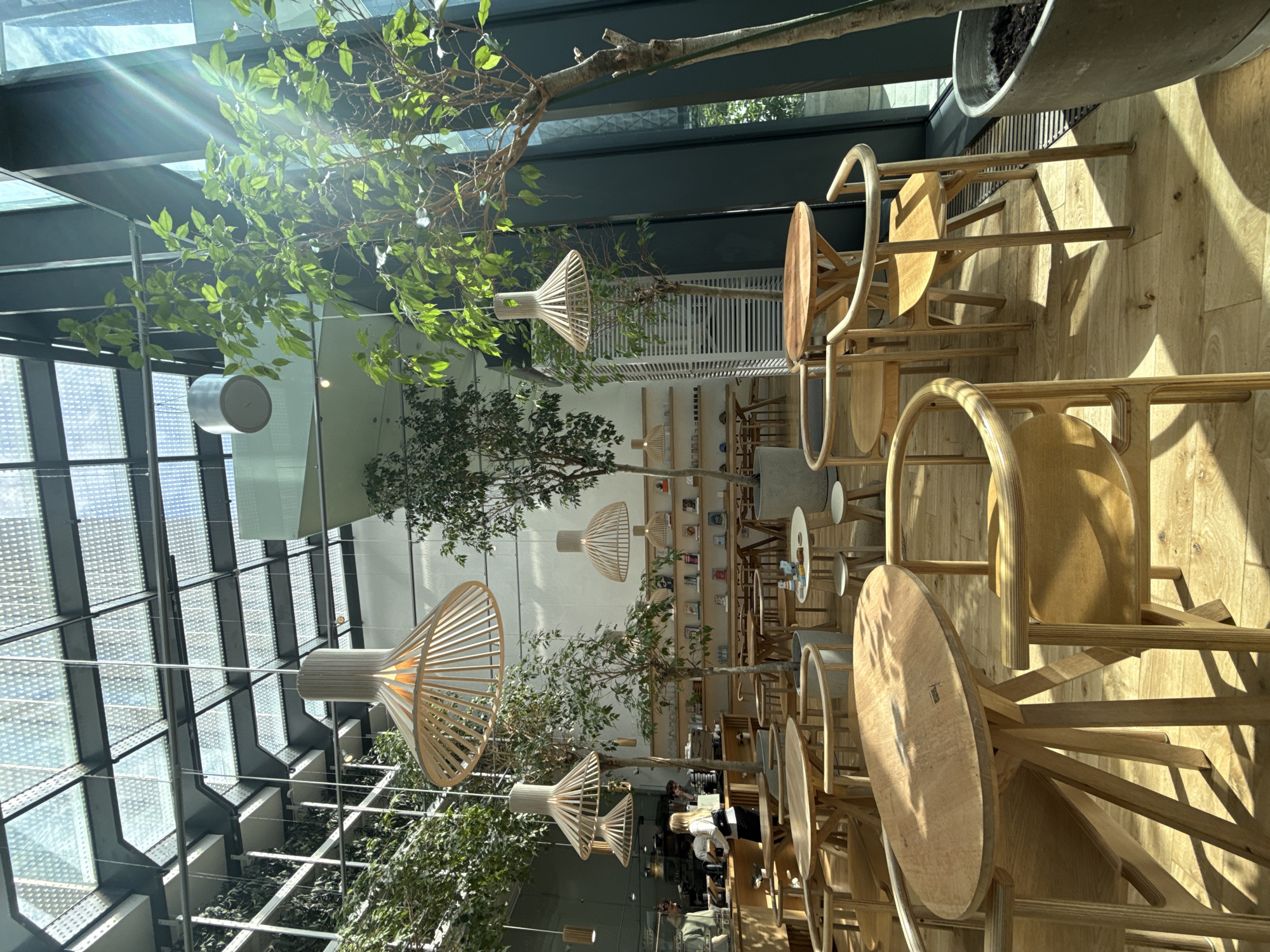 The image depicts the interior of a restaurant or cafe in Khimki, Russia. The space features large windows, allowing ample sunlight to illuminate the room, which is outfitted with wooden tables and chairs. Trees are planted throughout the interior, creating a natural, indoor garden ambiance. Modern pendant lights hang from the ceiling. People can be seen in the background, indicating the restaurant is in operation. A bookshelf lines a wall, adding to the cafe's aesthetic.
