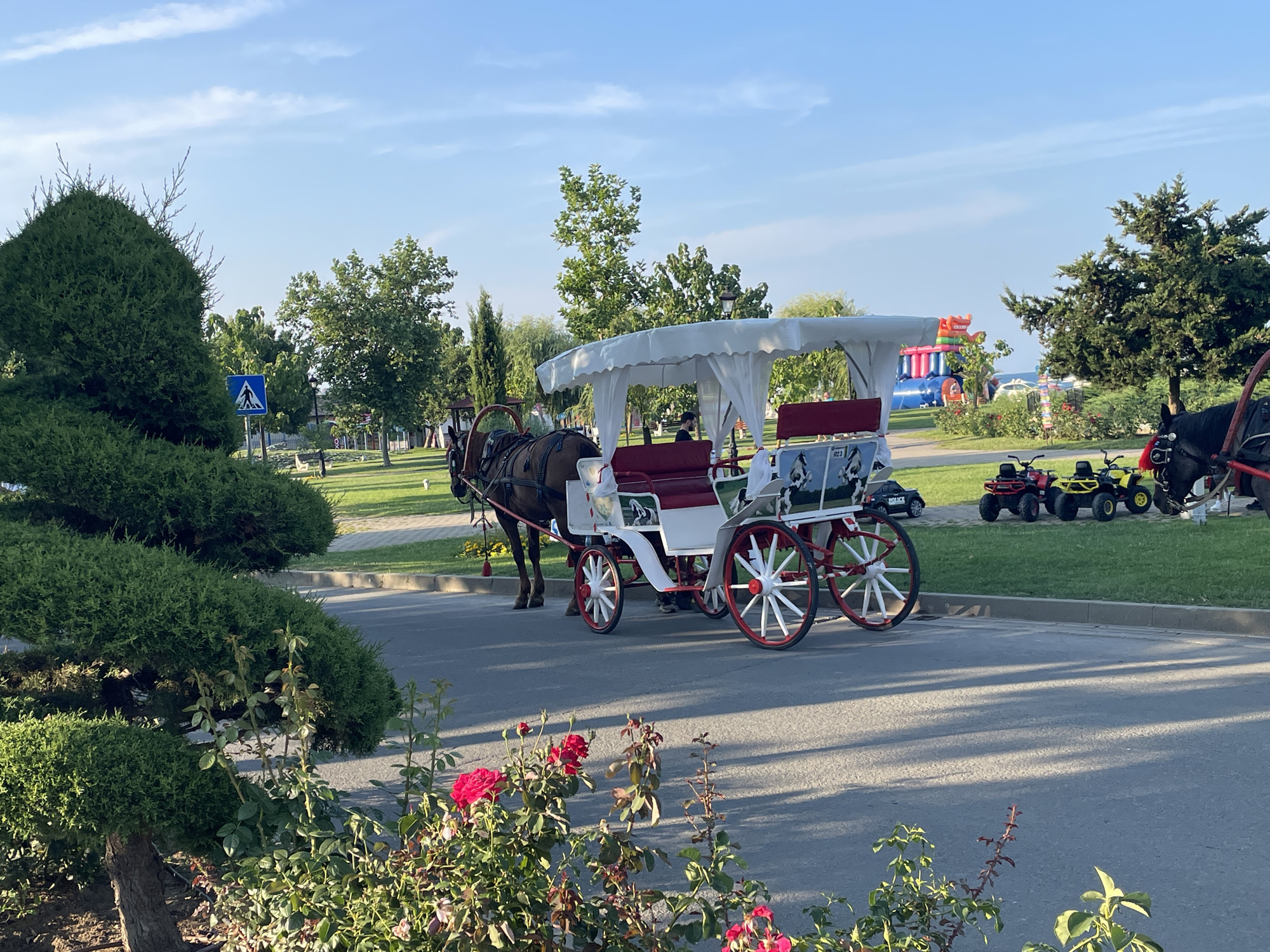 The image depicts a horse-drawn carriage with a white canopy and red trim, parked on an asphalt surface. A dark-colored horse is harnessed to the carriage. In the foreground, there are rose bushes with red flowers. The background shows a grassy area with several small all-terrain vehicles, some trees, and an inflatable structure. A pedestrian crossing sign is visible on the left side of the image. The scene appears to be set in a park or recreational area, likely in Obzor, Bulgaria, given the context. The sky is blue with scattered clouds.