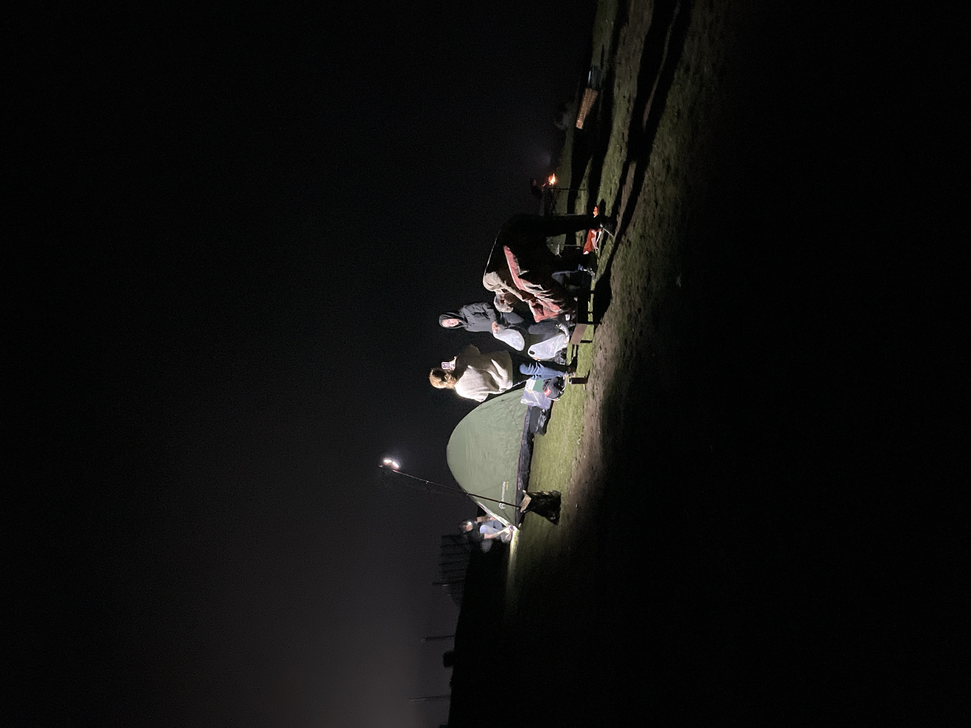 In Gomismta, Georgia, a group of four individuals are seen camping at night. A green tent is set up on a grassy slope, illuminated by a portable light attached to a pole. One person is partially visible inside or near the tent, appearing to be preparing it. To the right of the tent, three other individuals are gathered around what appears to be a cooking area or campfire. One person is bent over, engaged in an activity, while another stands behind them, holding a bag. A third person is standing further back, looking towards the tent. The surrounding environment is dark, with the ground illuminated by the artificial lights. The sky is obscured by darkness and a slight haze, typical of nighttime conditions. There are some discarded items and equipment scattered around the camping area.