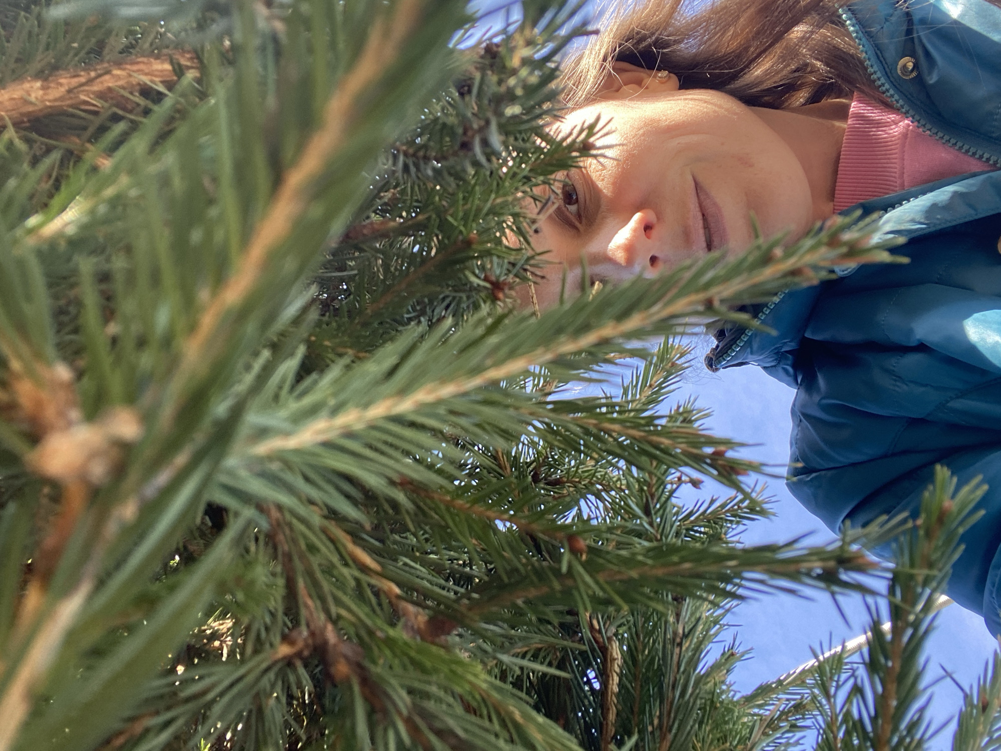 A low-angle, upward-facing photograph depicts a woman partially visible through a dense cluster of coniferous branches, likely from a fir or spruce tree. The woman's face, framed by brown hair, is angled downwards toward the camera. She is wearing a pink shirt underneath a blue quilted jacket. The sky, visible through the tree branches, is a light blue. The location information, Noviy, Russia, is provided.