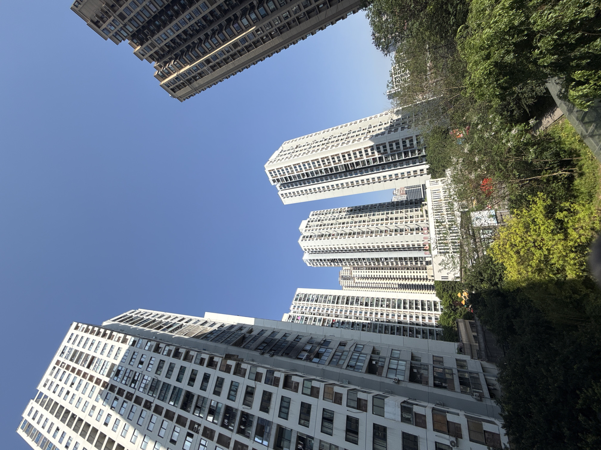 The image is a low-angle shot of several high-rise buildings against a clear blue sky in Shapingba District, China. The buildings are mostly white or grey with many windows. Green trees are partially visible on the right side of the frame, partially obscuring the buildings. The buildings appear densely packed together. The perspective suggests the photograph was taken from ground level, looking upwards.