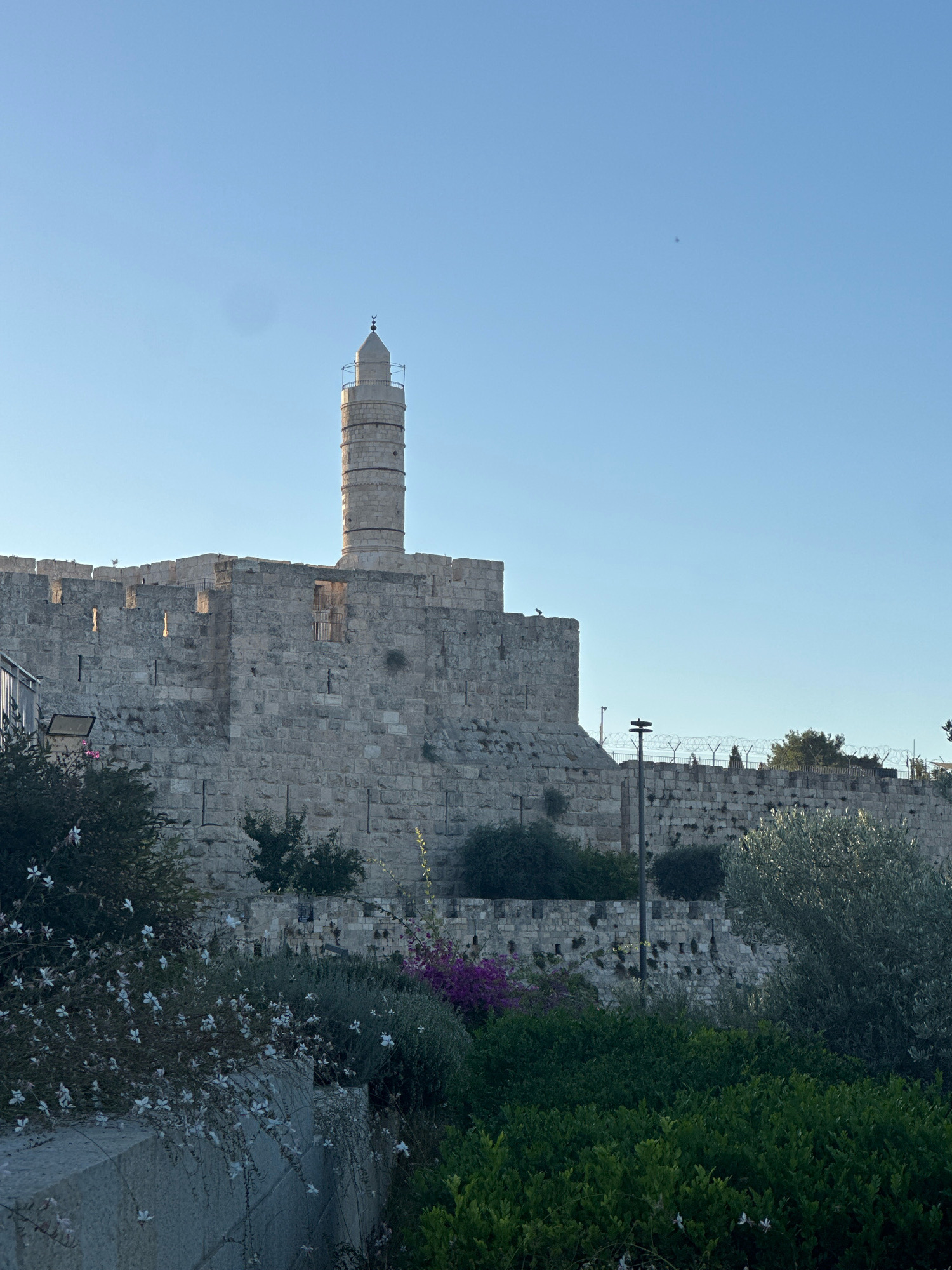 The image shows the Tower of David in Jerusalem, Israel, with a clear blue sky overhead. The tower is a prominent ancient citadel located near the Jaffa Gate. The massive stone walls of the citadel are visible, with crenellations along the top. A tall, cylindrical minaret, characteristic of the Tower of David, rises above the walls. The lower part of the image features lush greenery, including bushes, trees, and flowering plants, creating a natural foreground against the historical architecture. Barbed wire is visible along the top of a section of the wall, suggesting a security measure. The sunlight casts shadows on the stone, indicating it is likely morning or late afternoon.