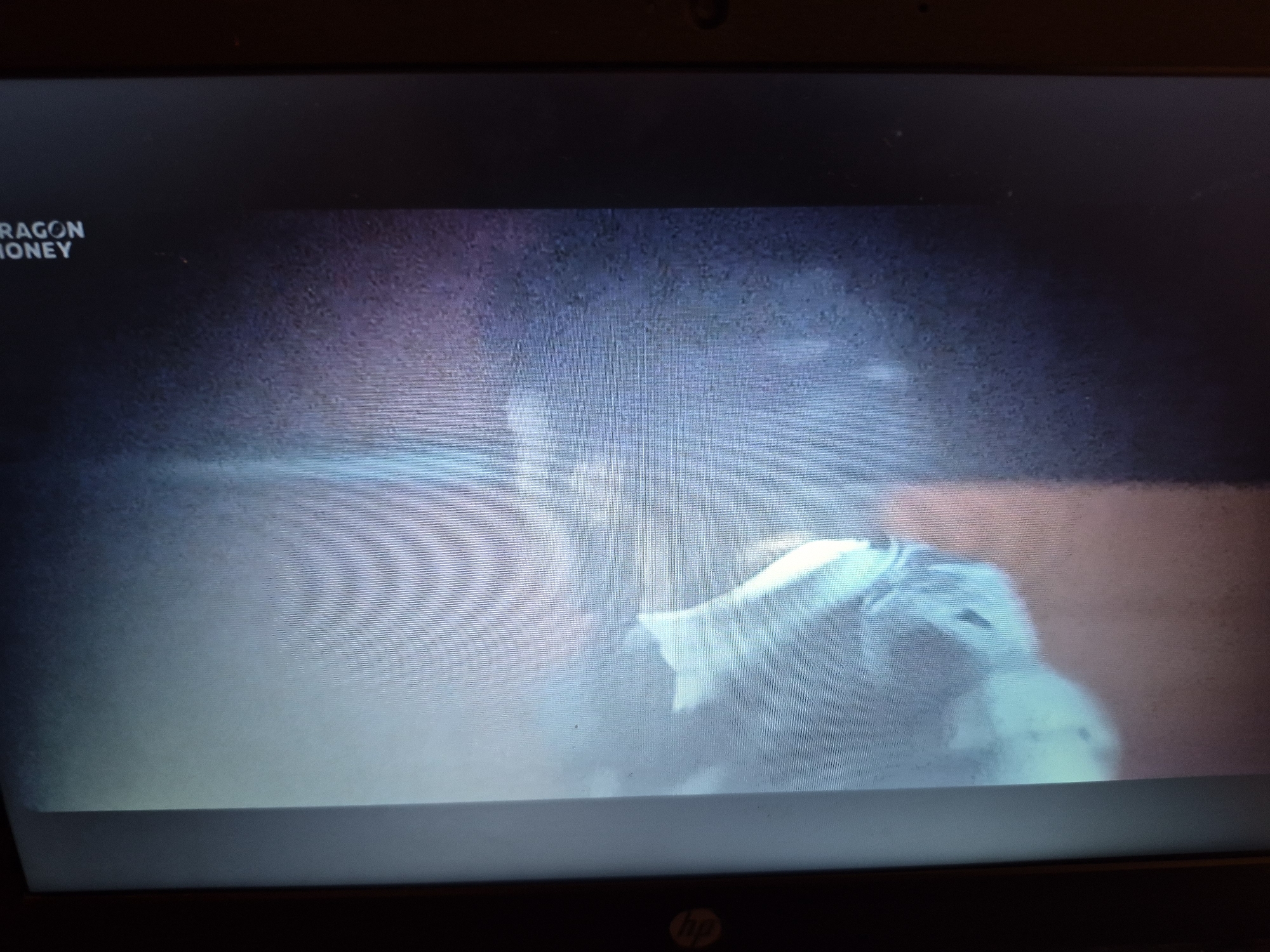 The image shows a close-up of a laptop screen displaying a video with text overlay. The text in the top left corner reads "DRAGON MONEY". The video appears to be a close-up of a person, possibly a child, with a light-colored garment draped over their head and shoulders. The background of the video is dark with hints of red and purple. The laptop screen itself shows some digital noise and glare, and the bottom of the laptop bezel is visible, with an HP logo in the center. There is no discernible location within the city of Sandwell, United Kingdom depicted in the image.