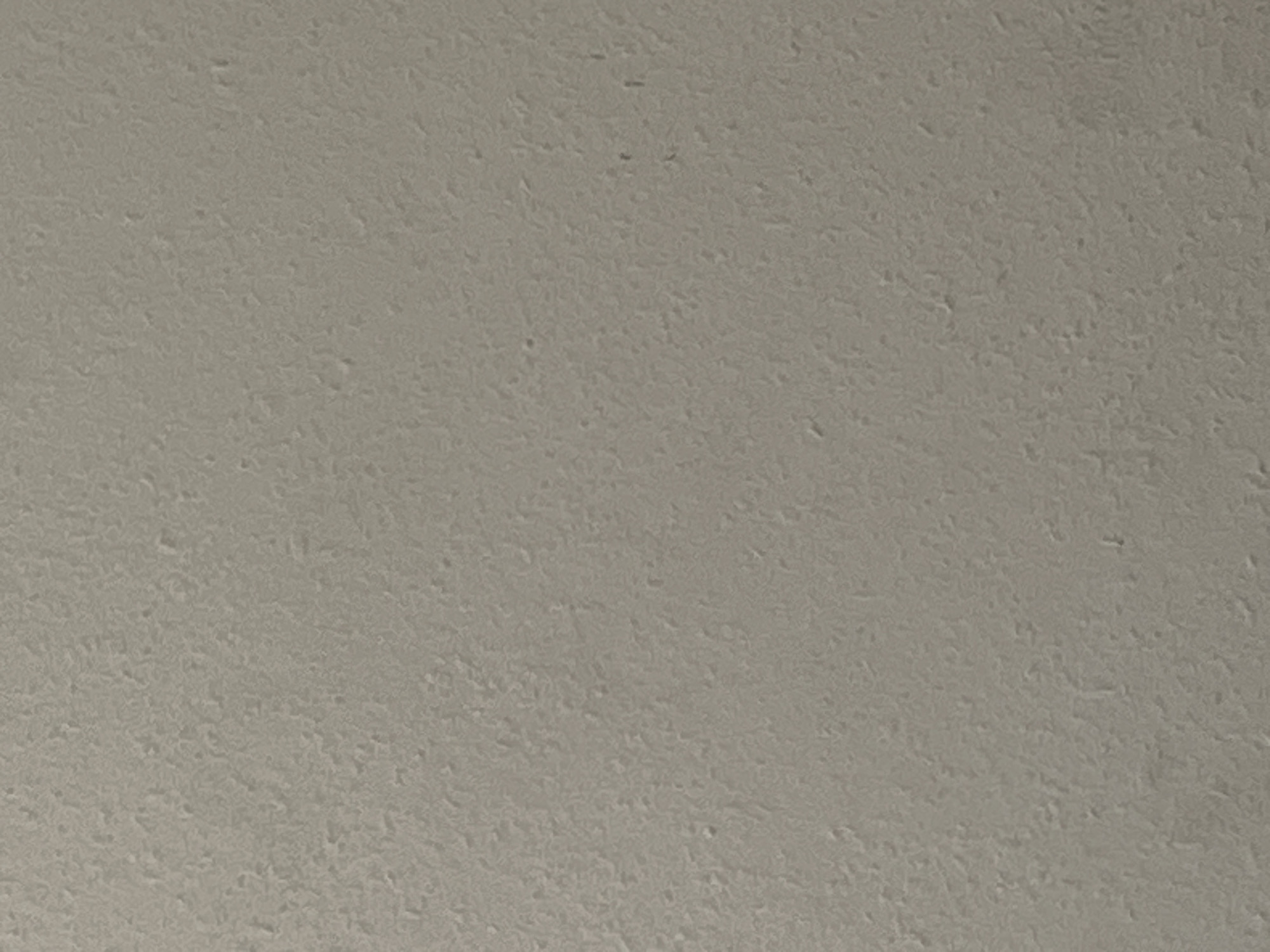 This is a full-frame, close-up, eye-level shot of a textured beige wall. The texture is uneven, with many small raised and indented areas creating a rough, granular appearance. There are no discernible features, people, or objects within the frame. The lighting is even and diffused, suggesting an indoor environment or an overcast day. The location in Hohberg, Germany, is not identifiable from the image itself.