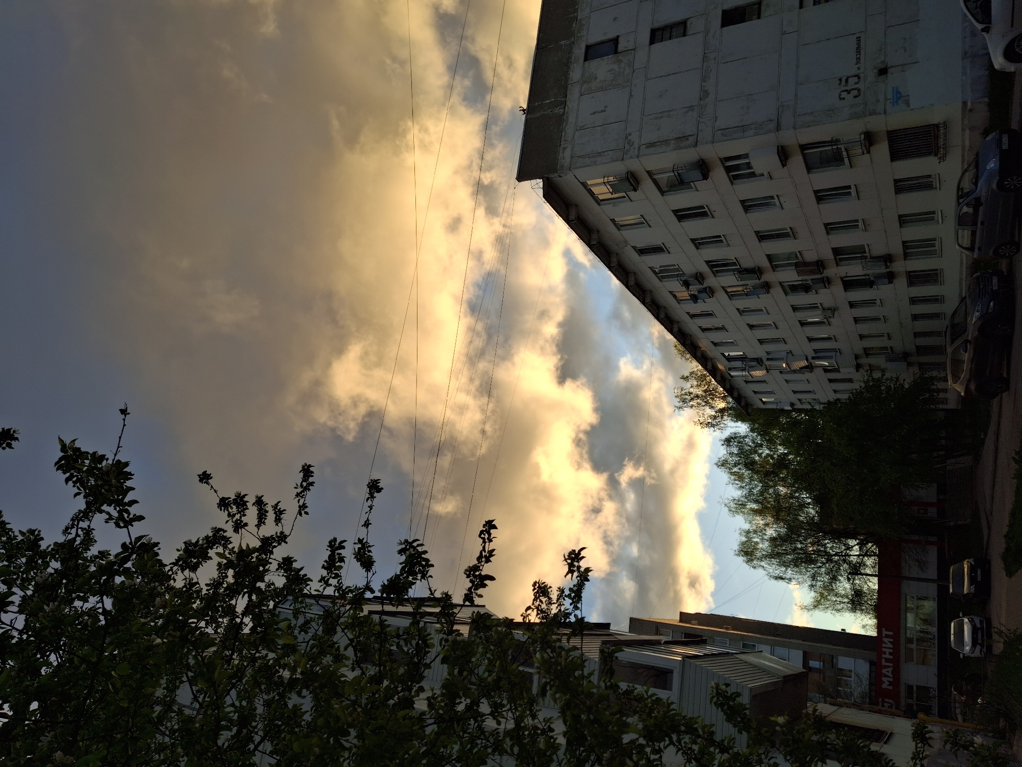 The image depicts a view from ground level upwards towards the sky in the city of Chaikovsky, Russia. The sky is filled with clouds that are illuminated by the setting sun, giving them a yellow-orange hue. Overhead power lines crisscross the sky.
A tall, Soviet-era apartment building is visible on the right side of the frame. The building is pale gray and has numerous windows, many of which have air conditioning units installed. Graffiti or some kind of painted identification, possibly a building number "35", is visible on the building's exterior. A row of parked cars is aligned alongside the building on the street.
Trees with green foliage are in the foreground, partially obscuring the view of the buildings behind them. A low-rise building with signage in Russian is situated in the lower center of the image; part of the sign "МАГНИТ" is visible. A sidewalk and adjacent grassy area are also visible at ground level.